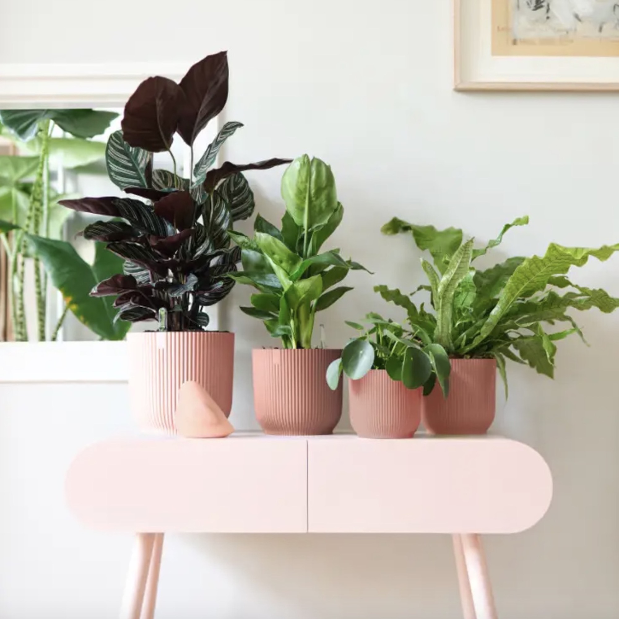 Screenshot 4265f923f0acaf6c62517ea910082d14