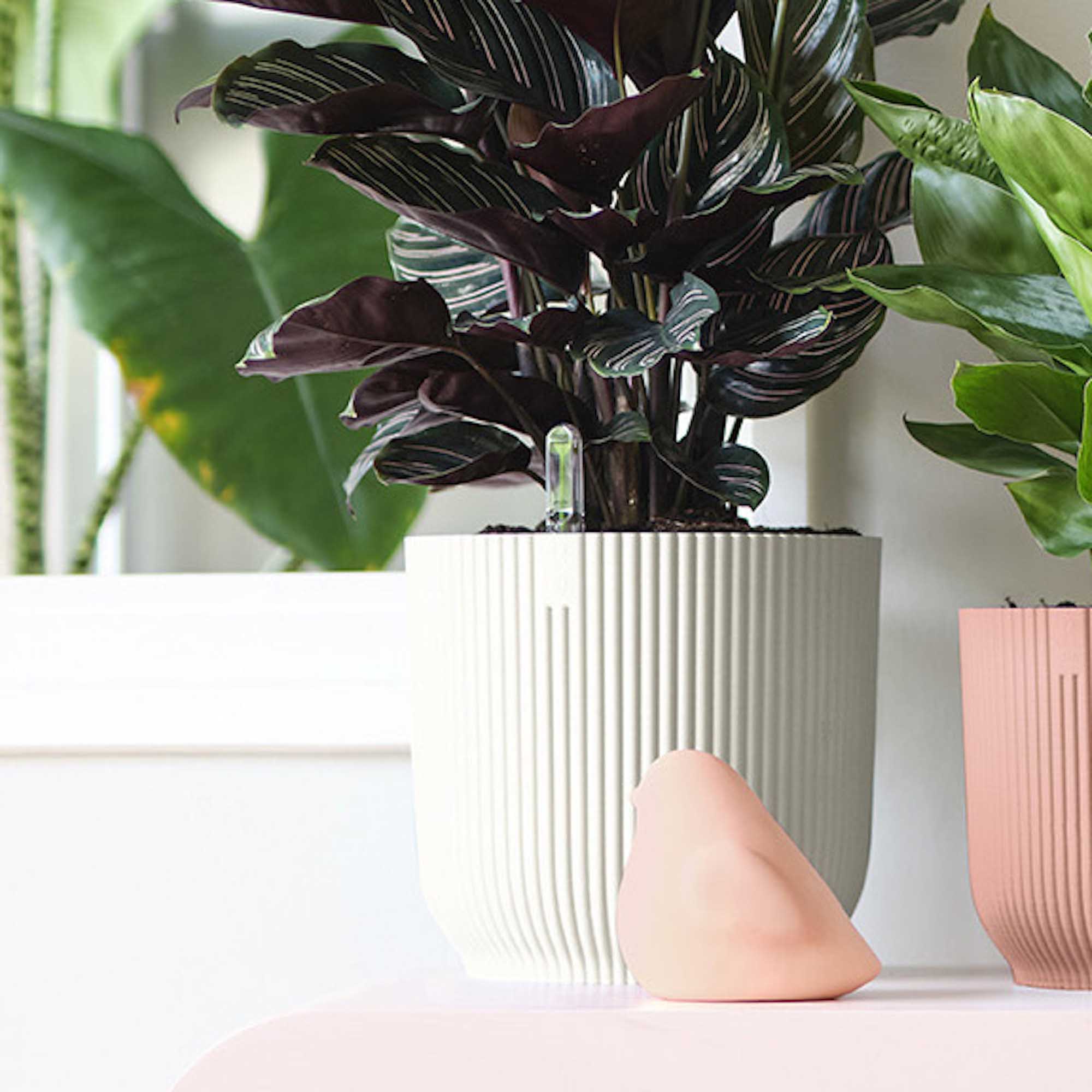 8711904481124_4.jpg 88efdb9b1fdcd3ceccb053af7307e80f