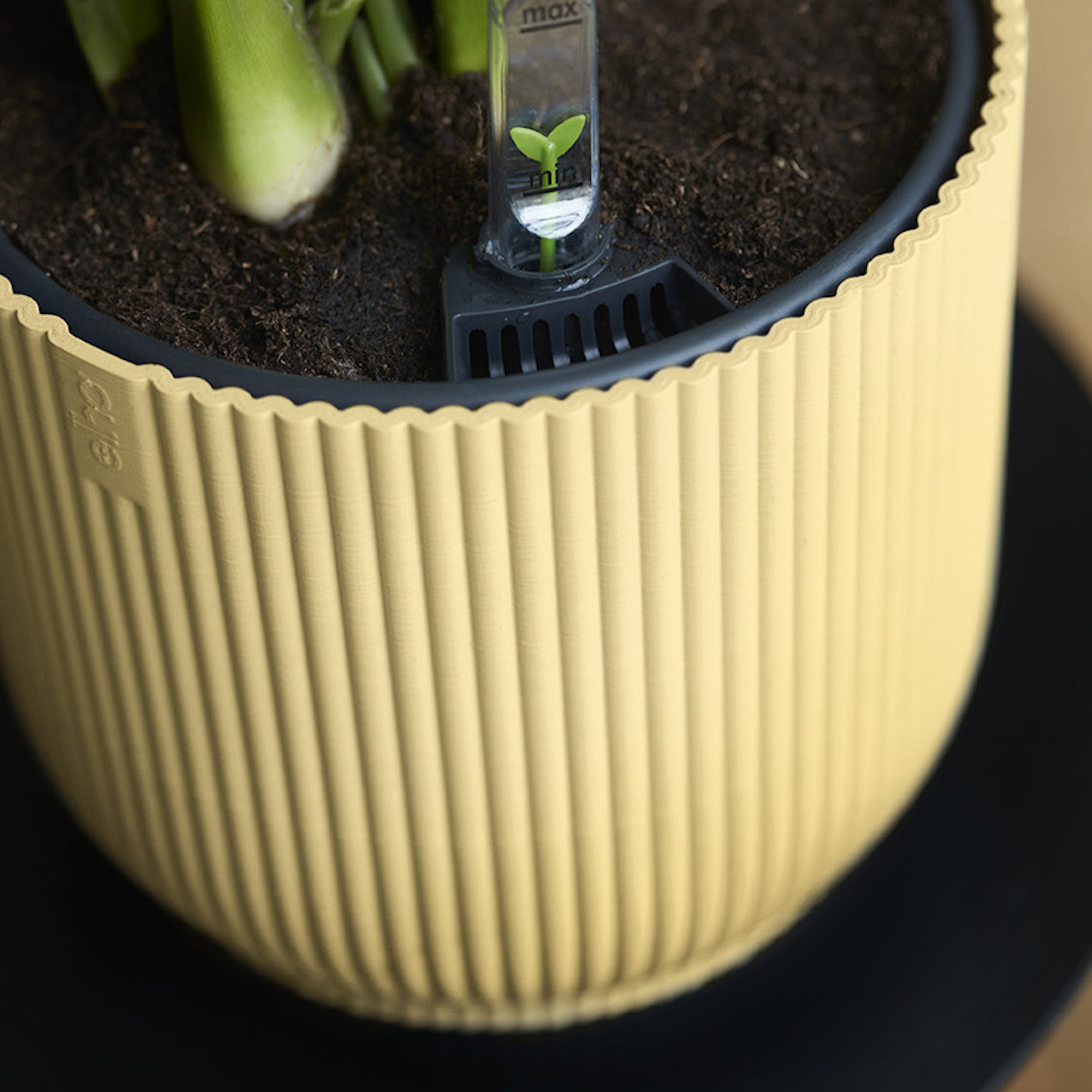 8711904481186_3.jpg 6771d1baeccea44db8c53e4549793ca2