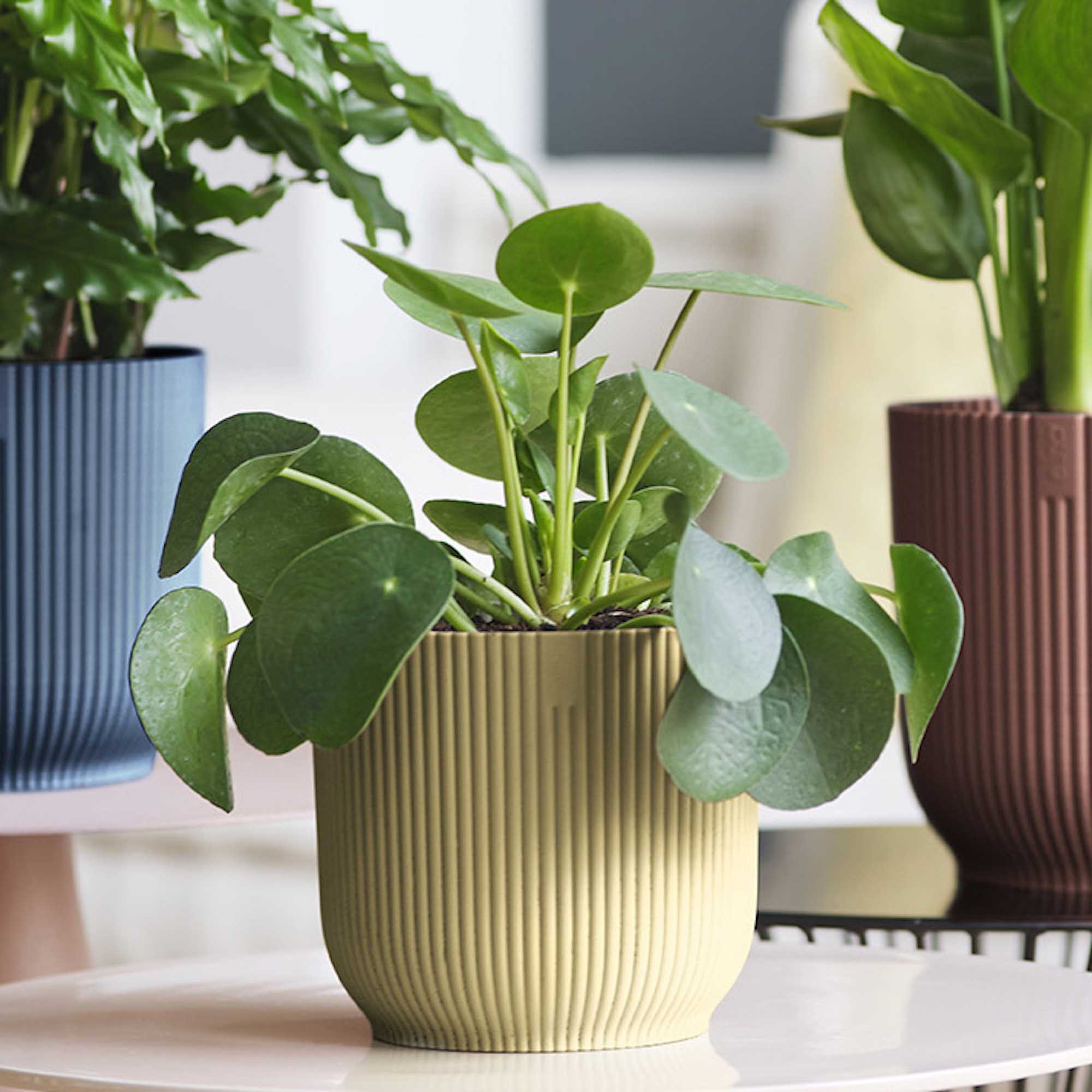 8711904481186_4.jpg 1cce4dbad93dee43b9263986c2695956