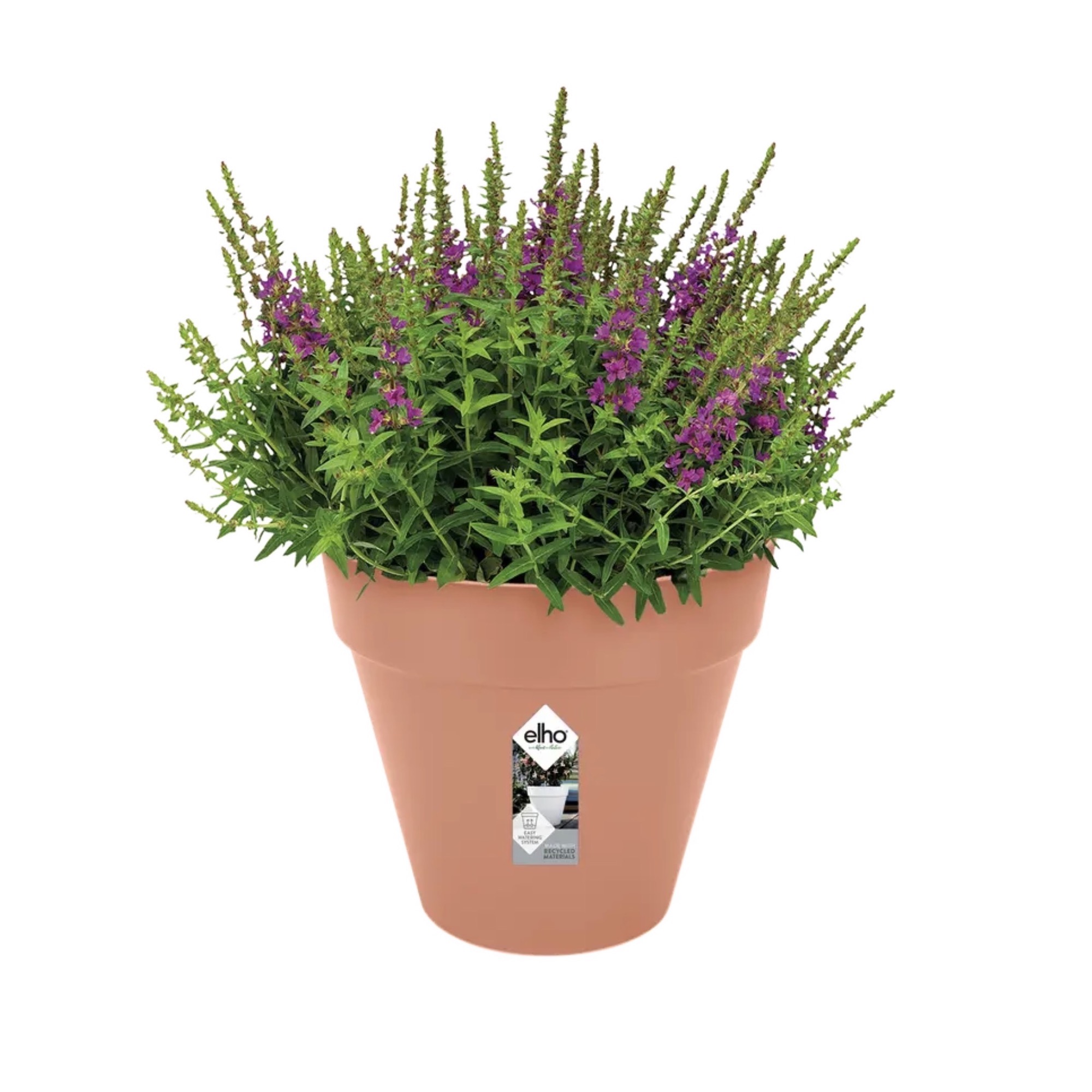 e44483d4b2e9bd4f22442f34cb8aa0b1