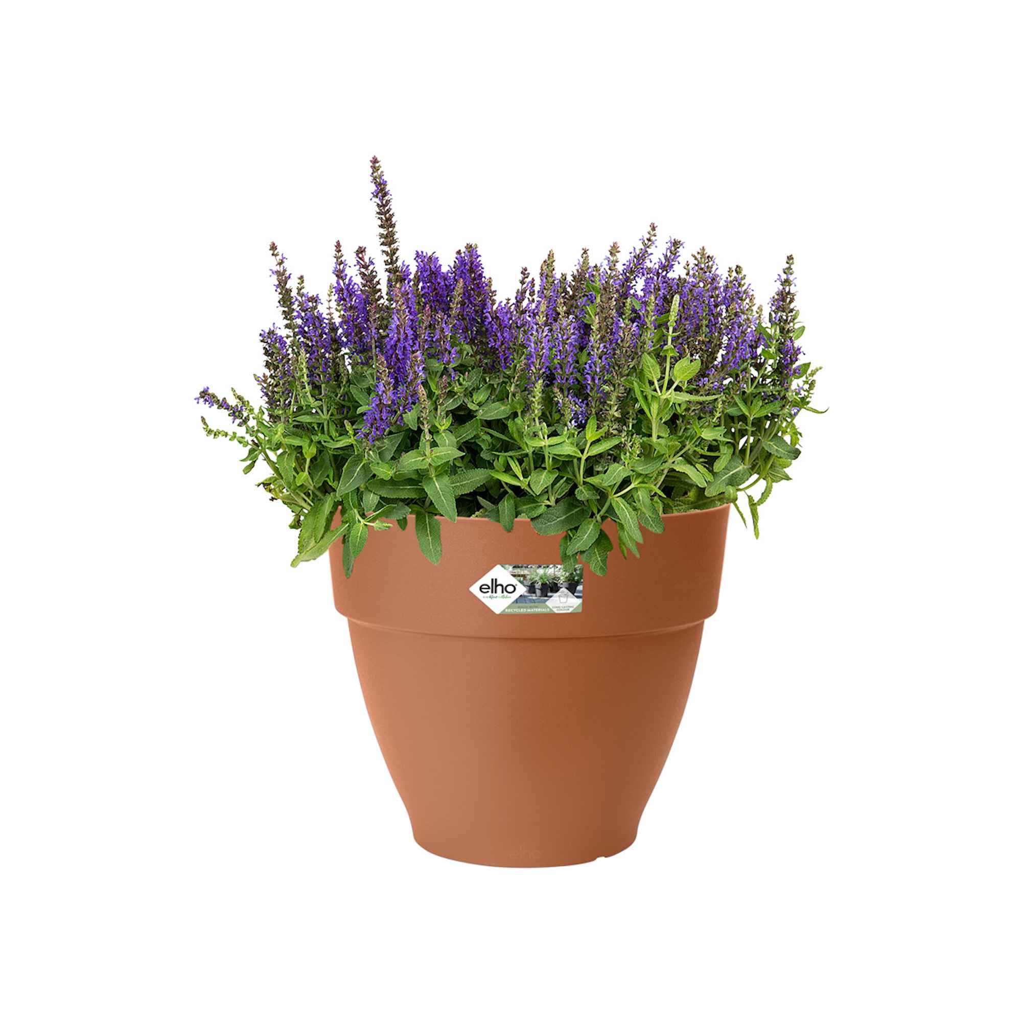 8711904482978_1.jpg 48c33dfe5955fdad4a441d2dc219583f