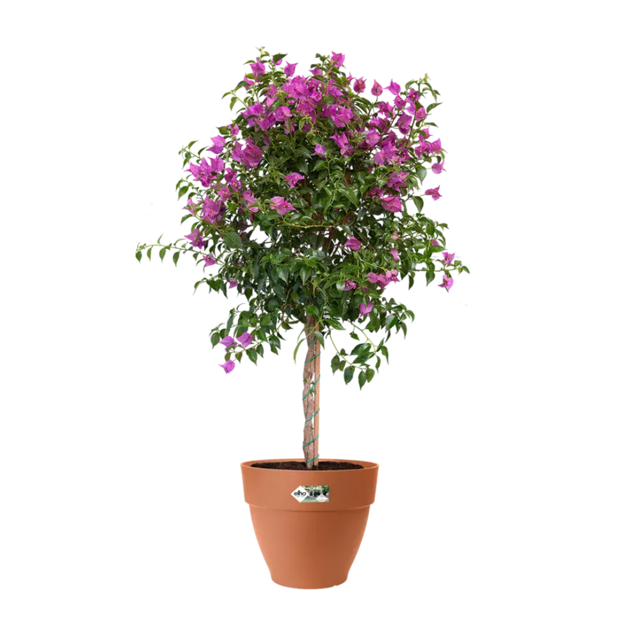 8711904482978_4.jpg 950c39ed557148d39882eb17a9f90aa9