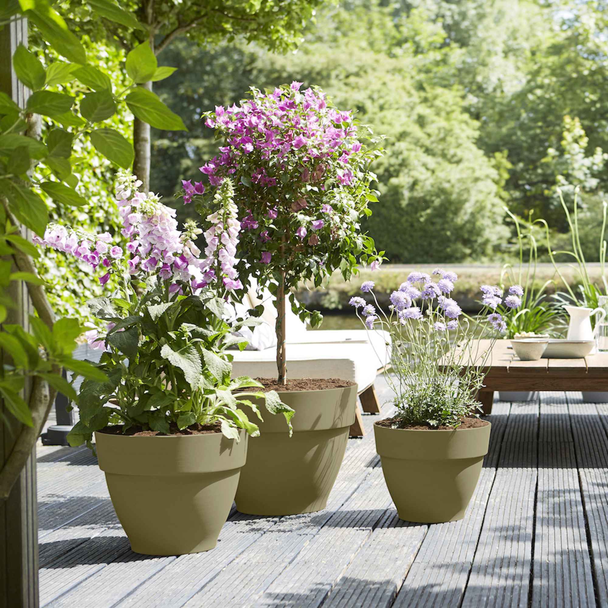 8711904483012_3.jpg eac1e75580b73b71b08f72652b9a113e