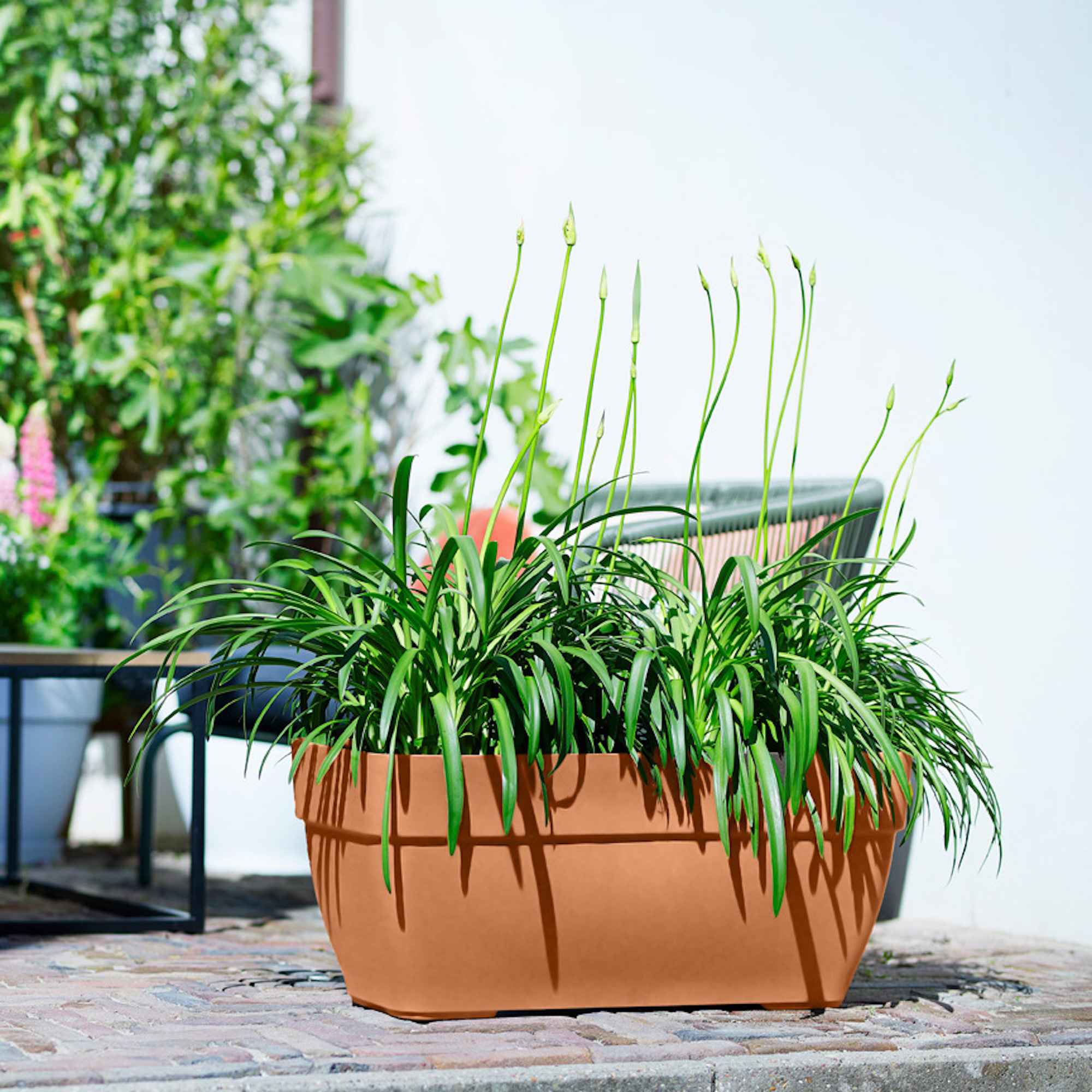 8711904483210_4.jpg 2839c9b7278c52729dc355954a822238