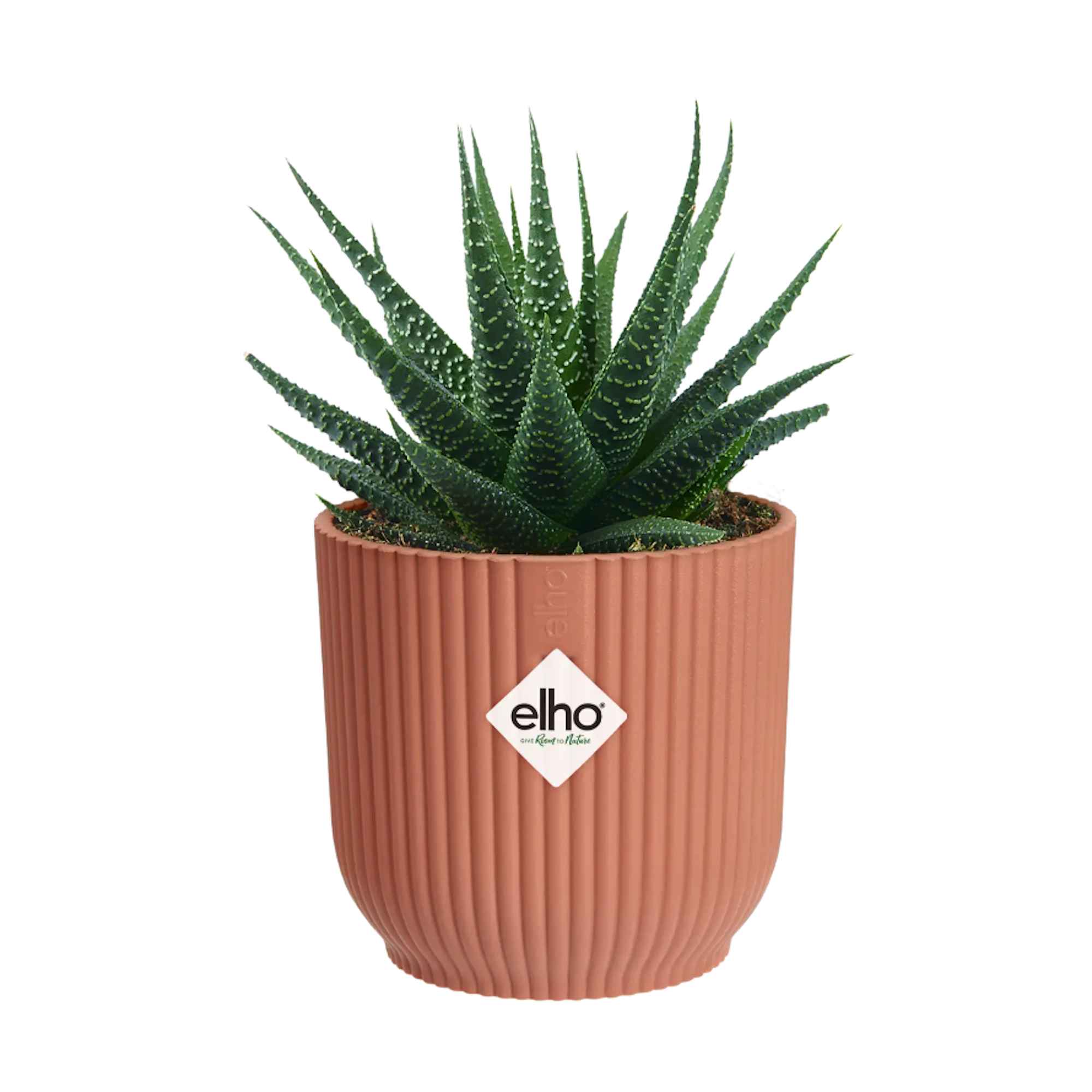 8711904493684_1.jpg be6c7d816f13a1963d75a302dd44d181