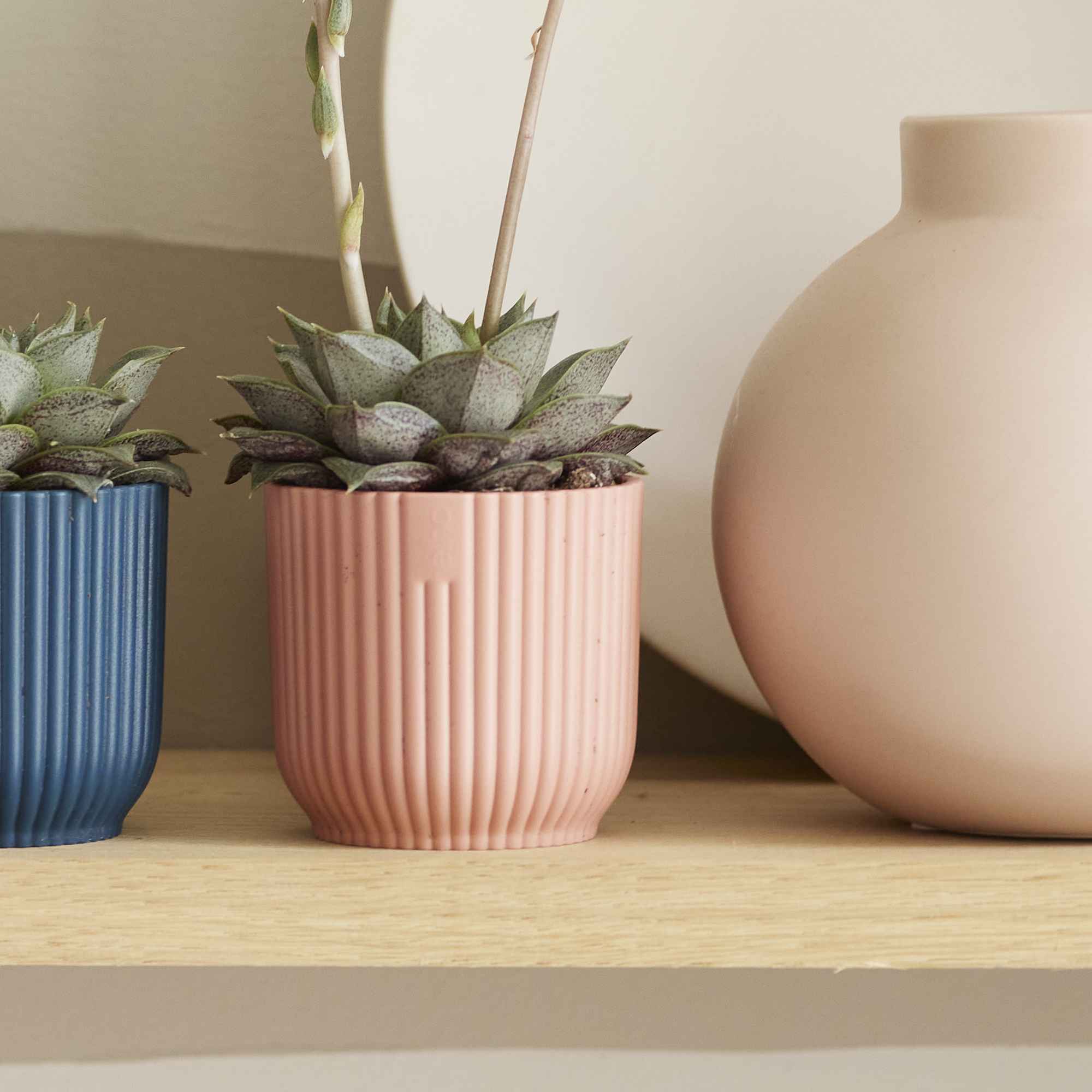 8711904493684_4.jpg 0b068236cb535a2d4e090ad1b74191c2