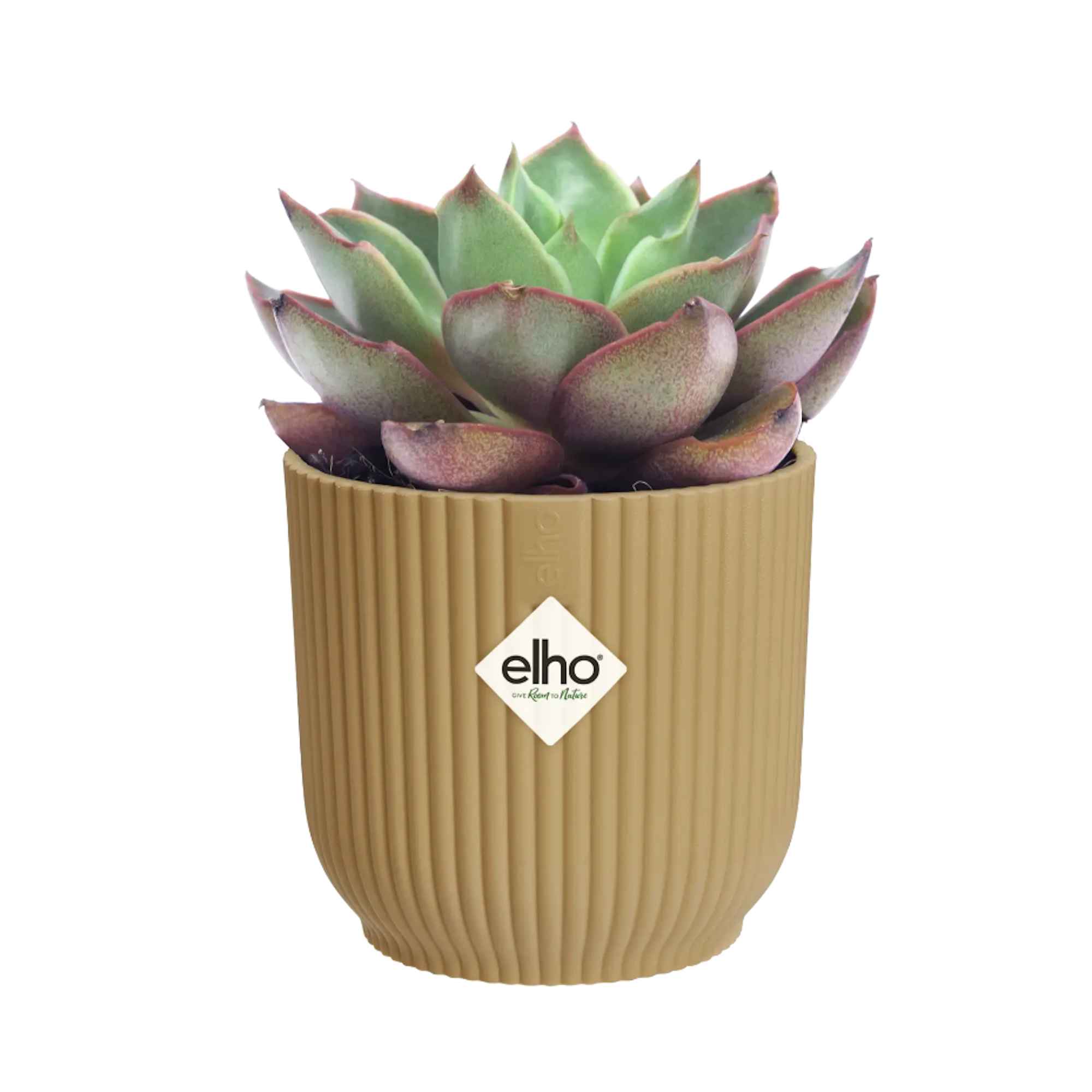 8711904493776_1.jpg 0632918bf5d2a1e410eb9079762f2df9