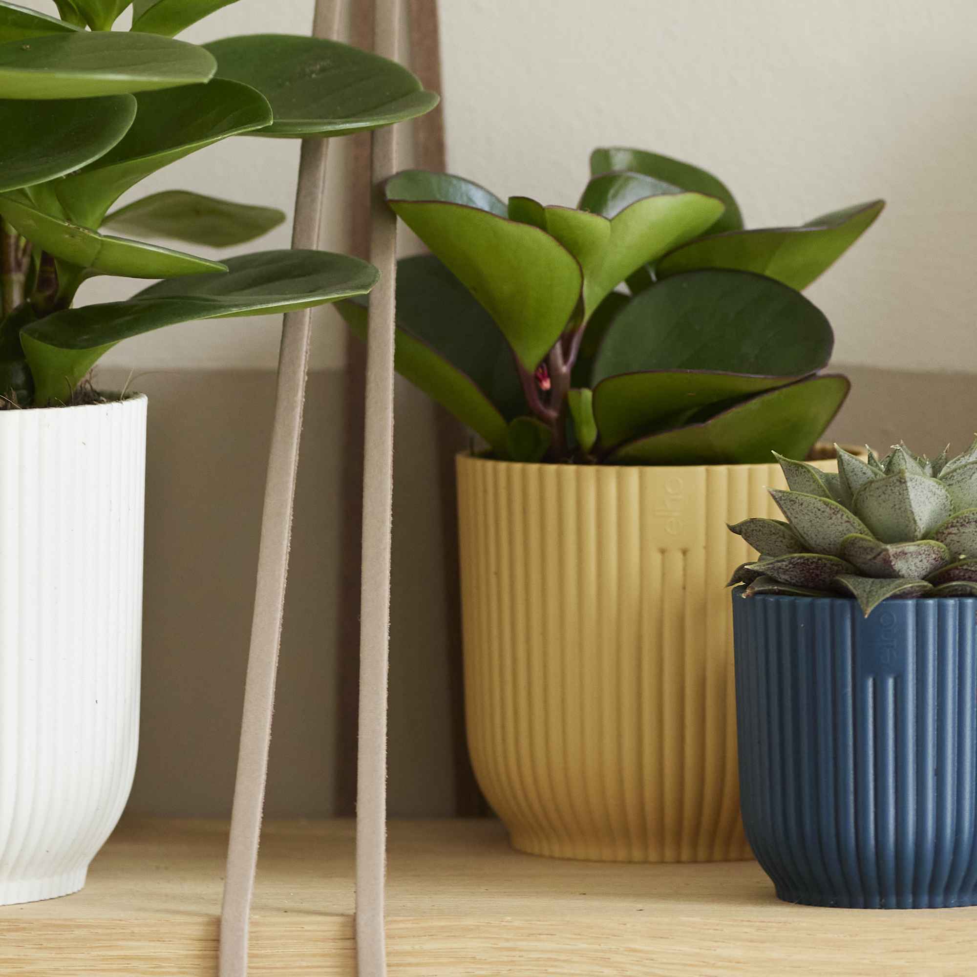 8711904493776_3.jpg 4abf5d0f0e8ff5d60a937a59401a6eb8