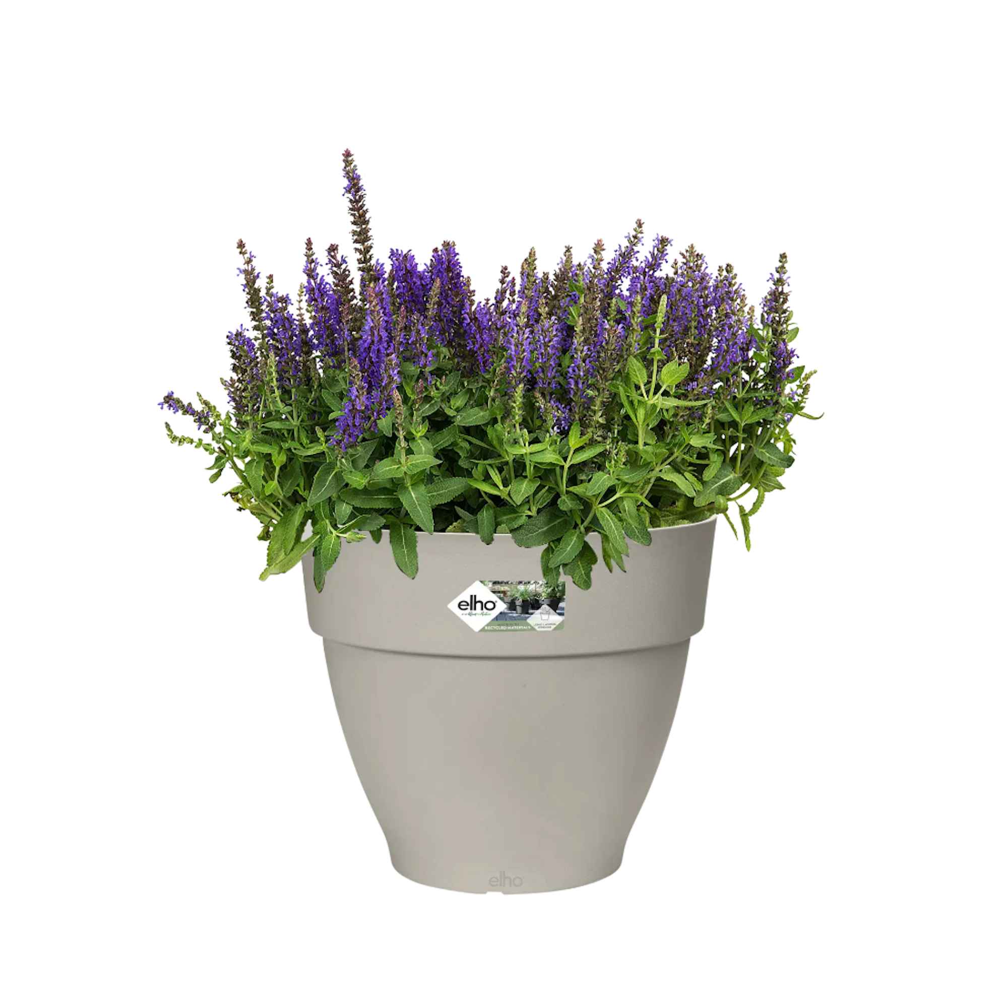 eb8327a6520f5fa225c14fb2009a6ef3