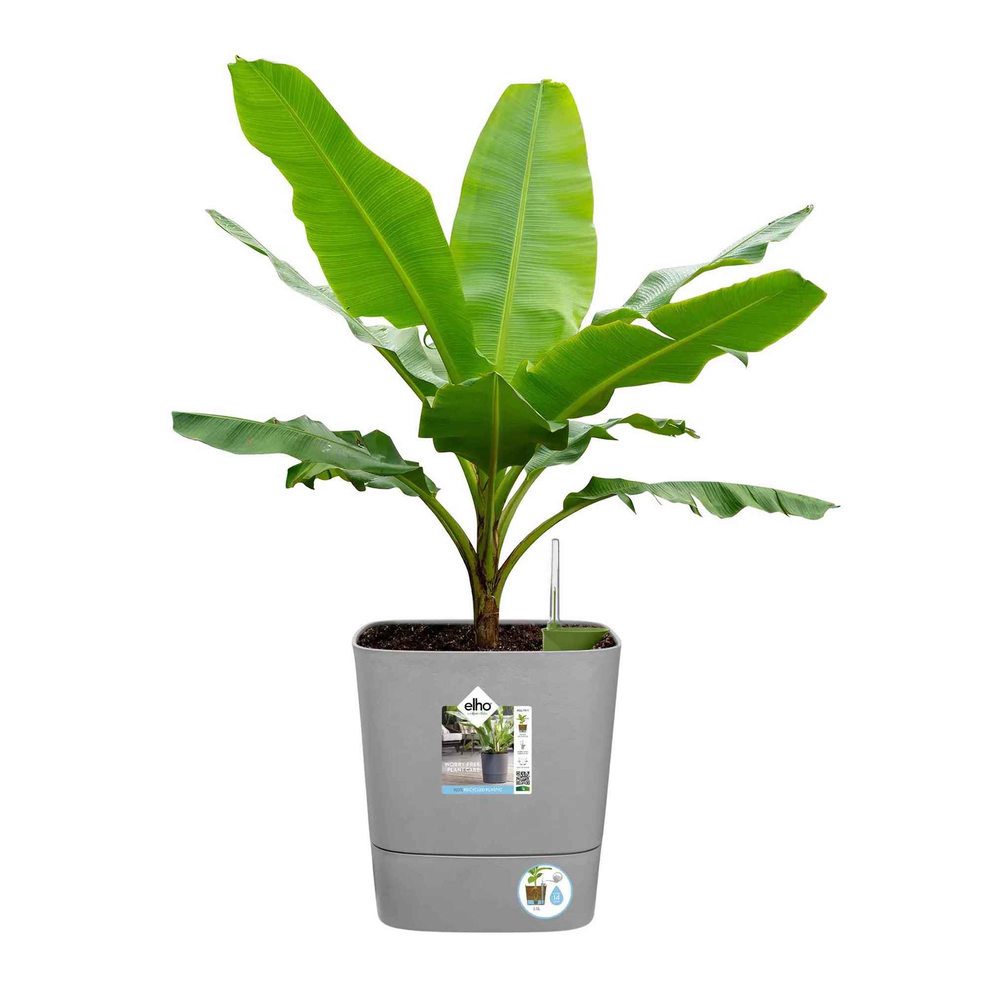 55d8fa91dd742a6efad254a88257bb0f