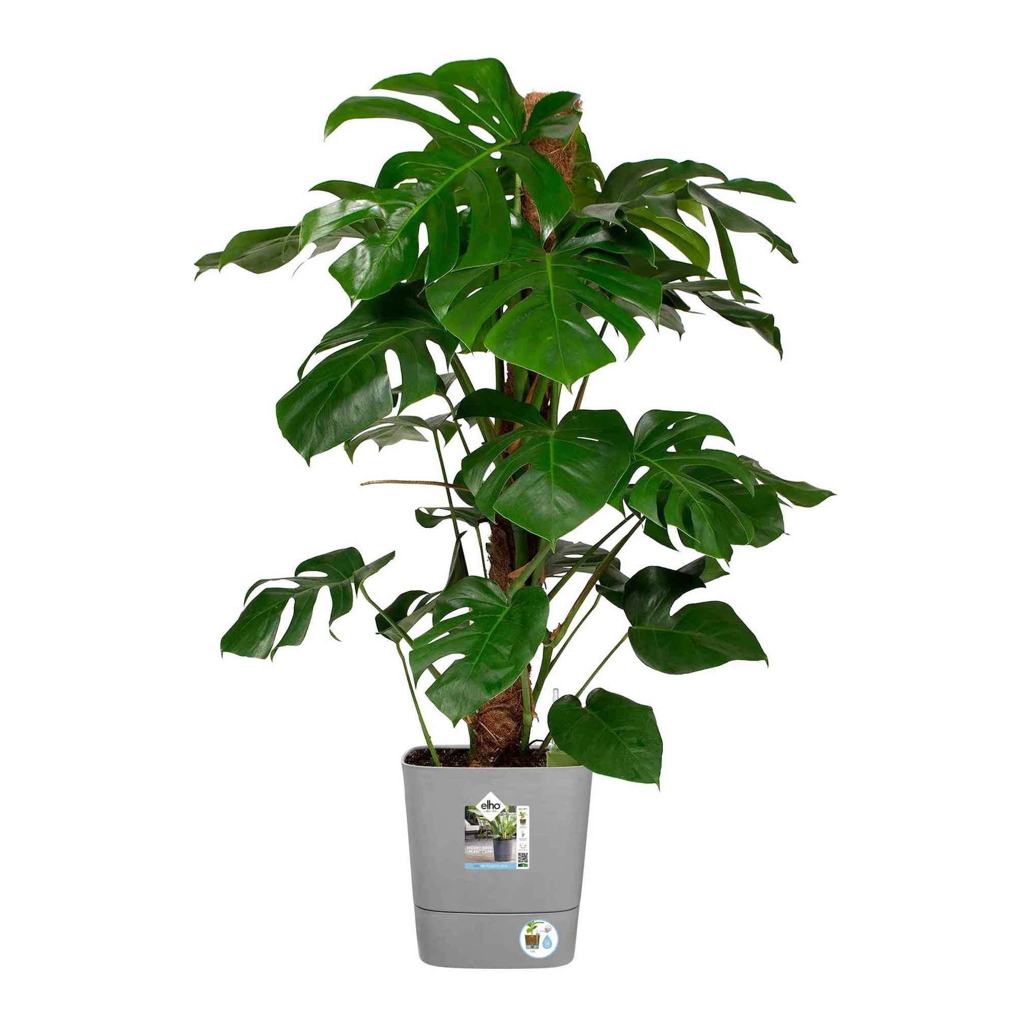 2e6e0191964f88665c803c3379089bb1