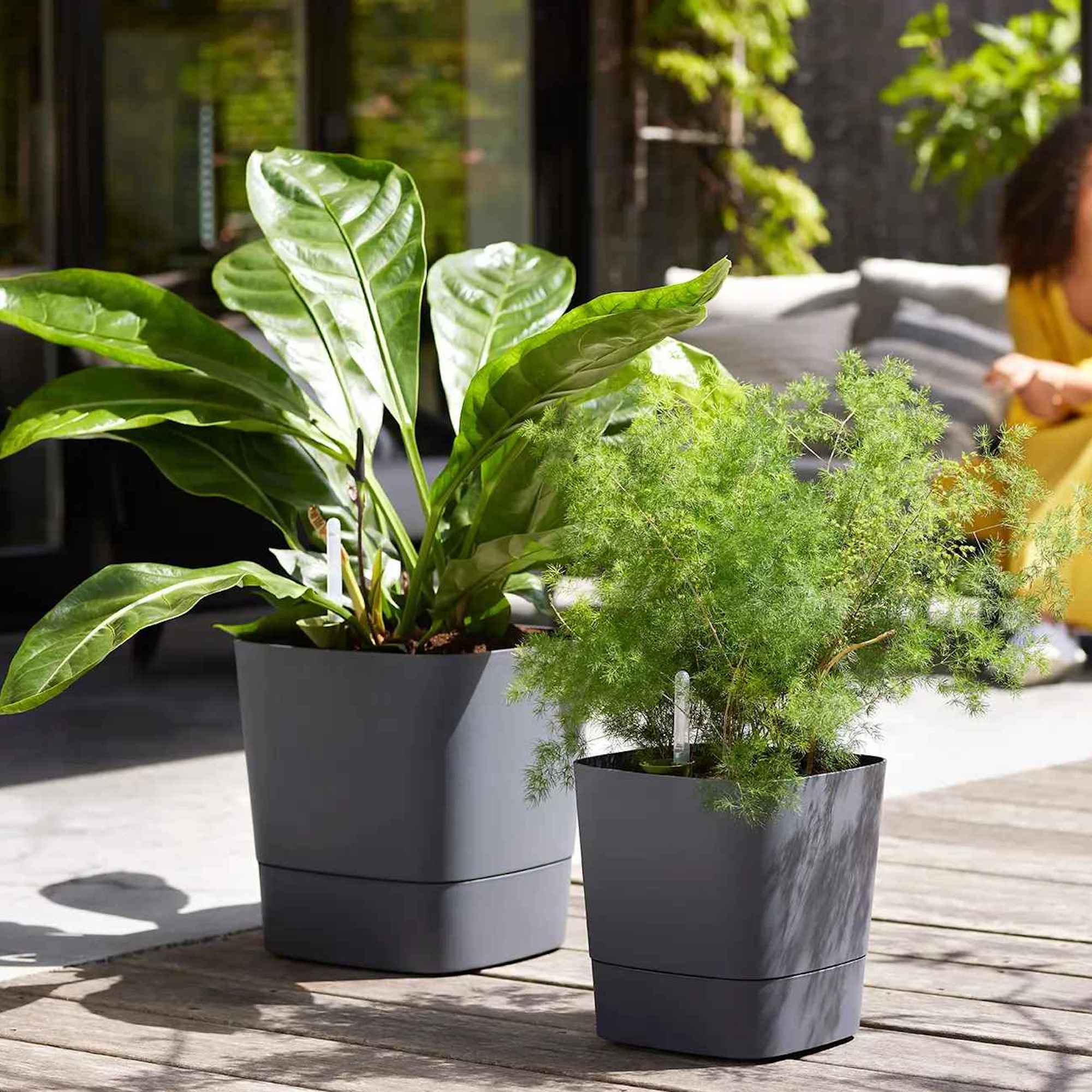 8711904497453_2.jpg 3873475e1ed0303a9984902e0d4214a7