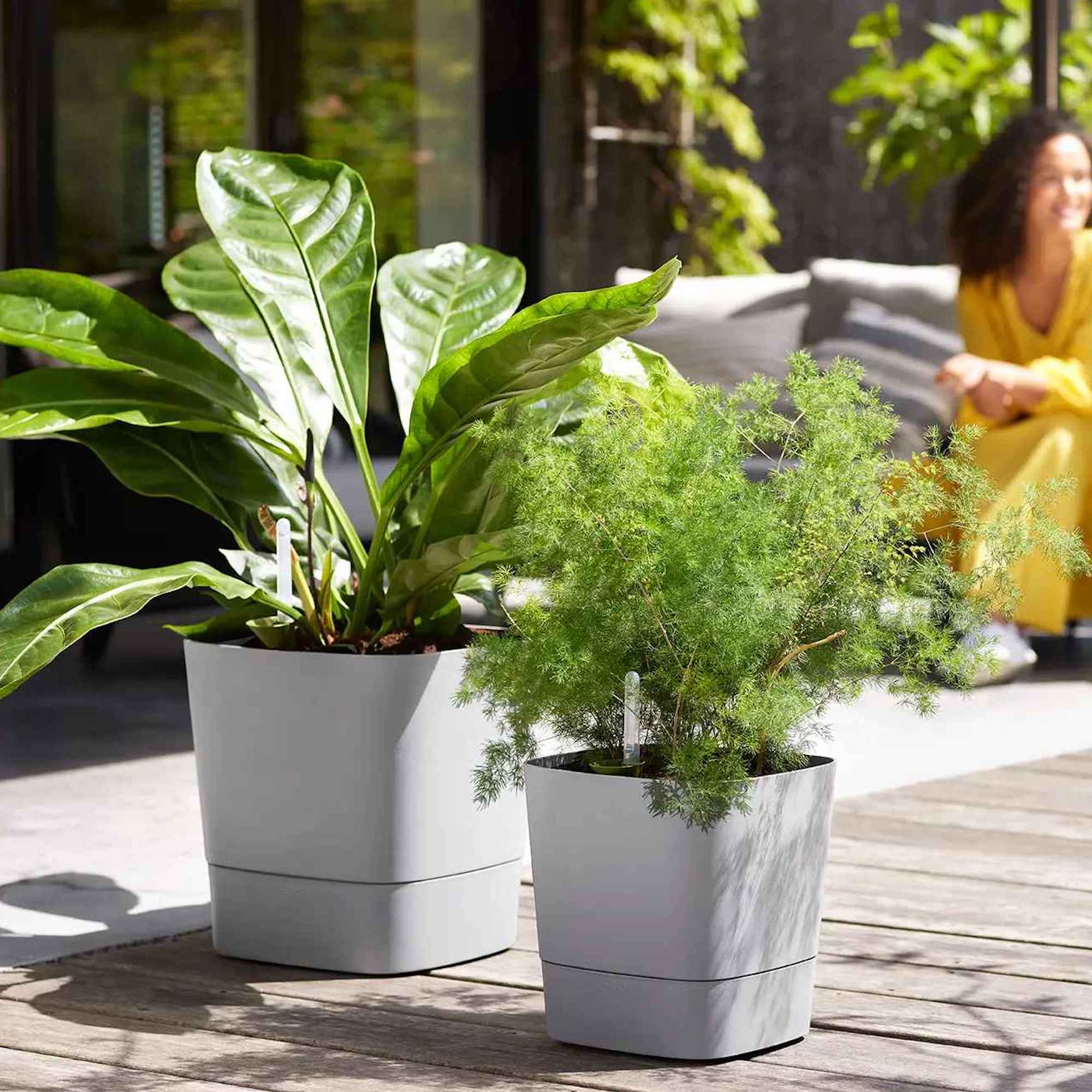 8711904497507_1.jpg ccd7bb6e5f607788644b7ac288d4a553