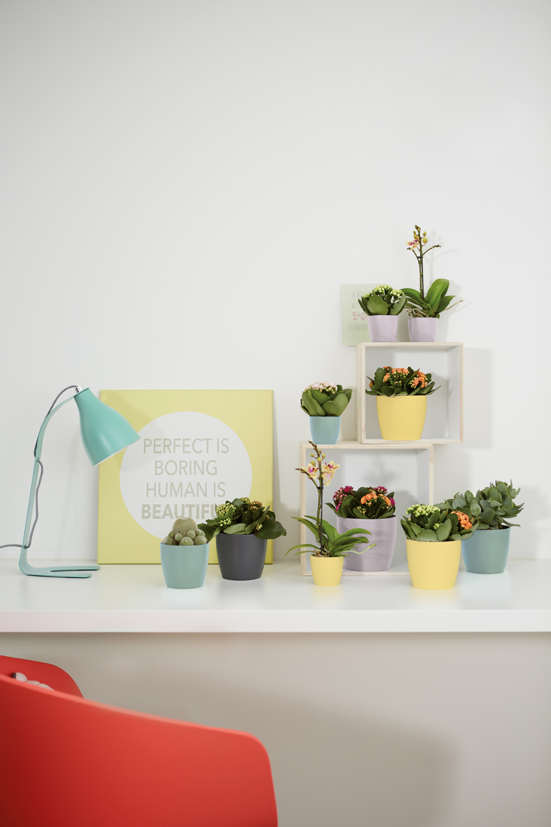 878c2920d6dfc9b84d7b835c567f4a90.jpg 017aff0ee369c081c9ea368b5b8a9456