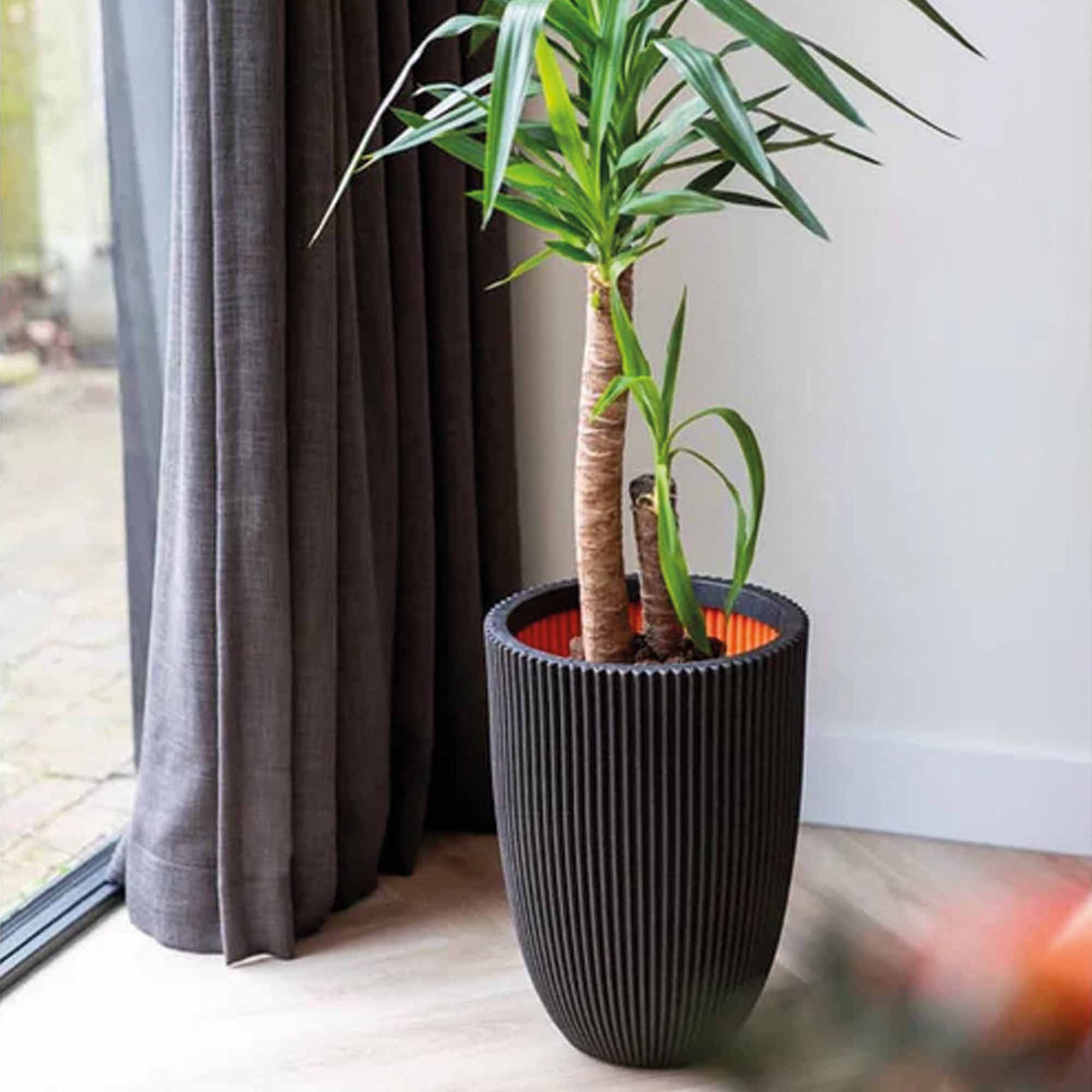 88d7ee3dedb5707e29209028ccde0012.jpg 7c4d48031bf961e4646ac4d42bd828a3