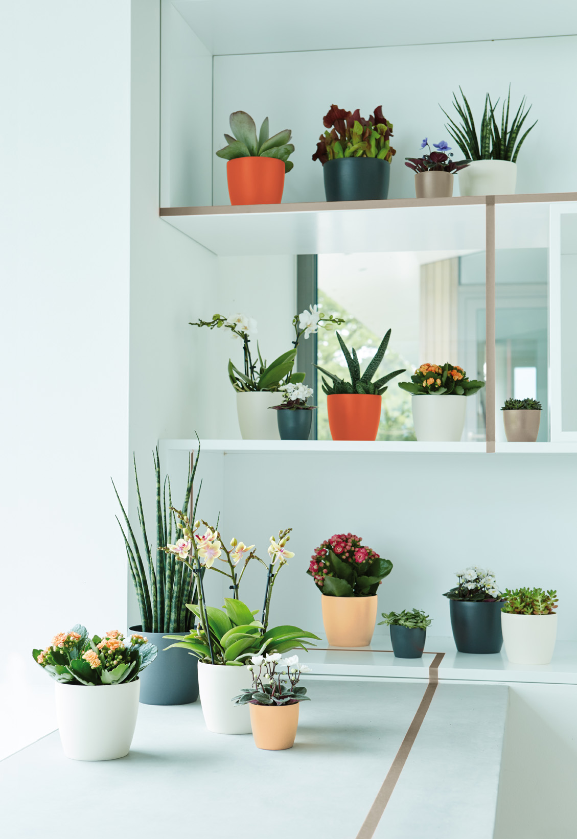 90f4ba0836c3732380619d28e5dd9134.jpg 410473cad9a4ddf1f0c765d23a05cf8e