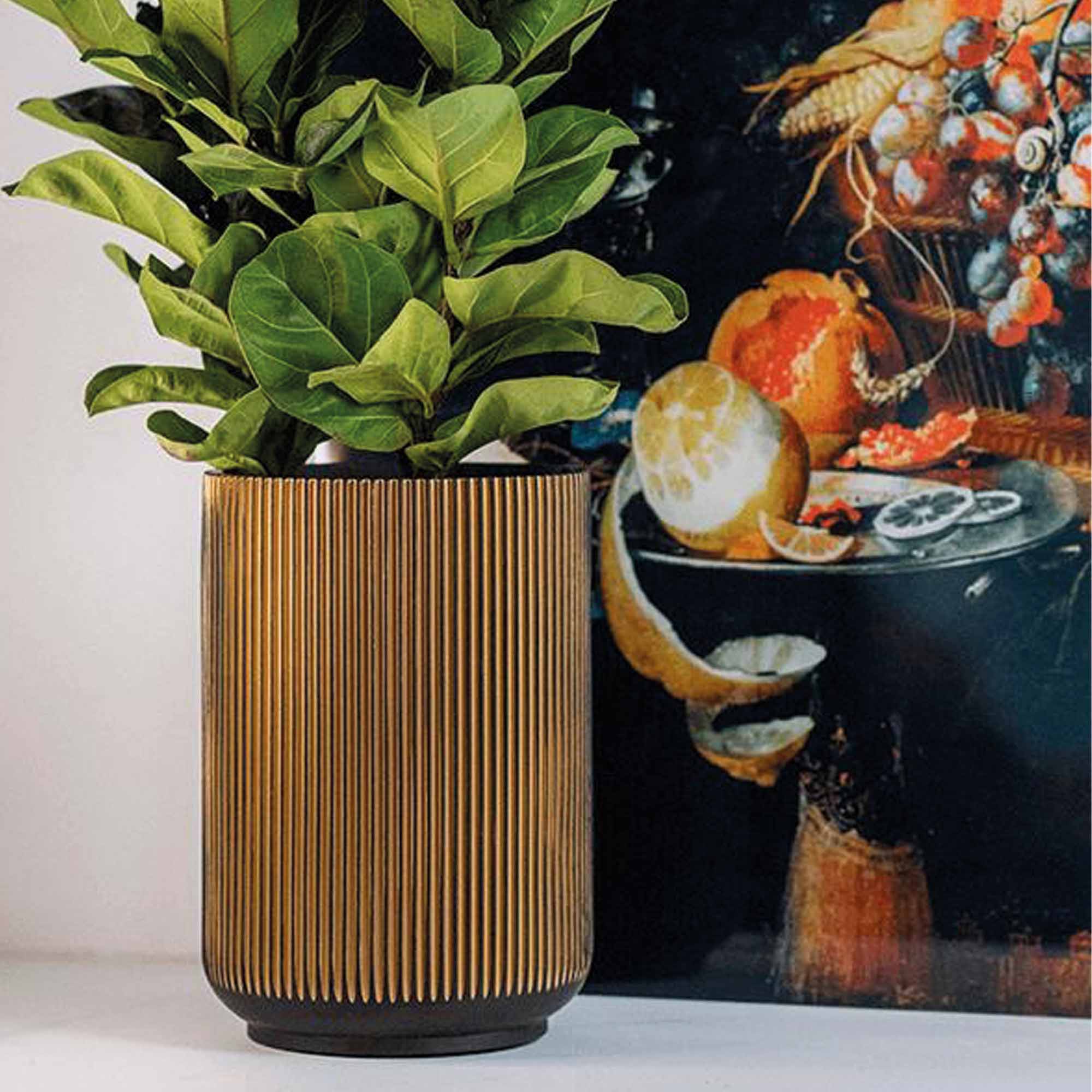 973ef38381417f8c13f1d2abcf06ef04.jpg f8d708834a1830db5504ad36eab73aa3