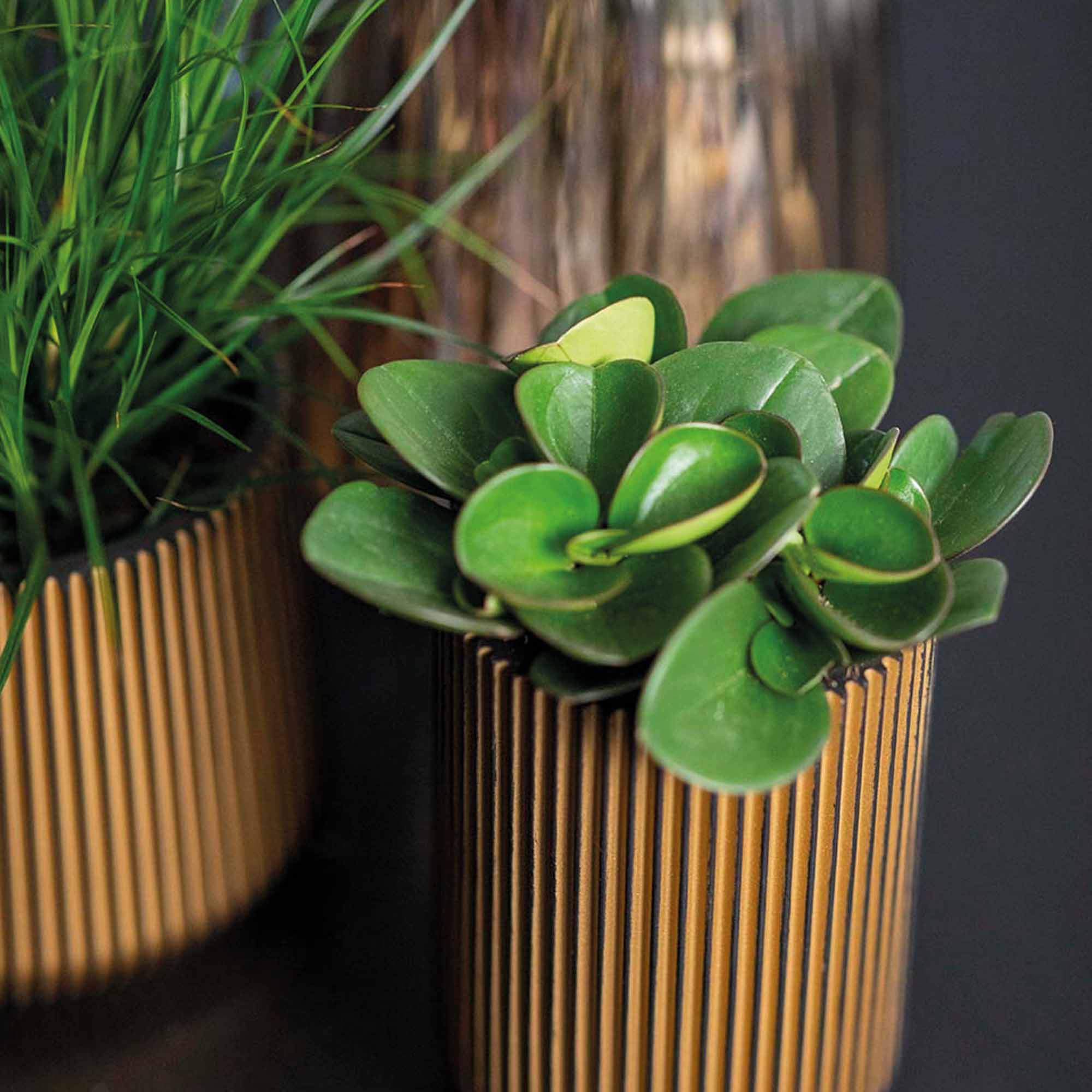 979076a8a7d80a80a06892aab32f9986.jpg 7592f8d345840f19a1674b23439ef531