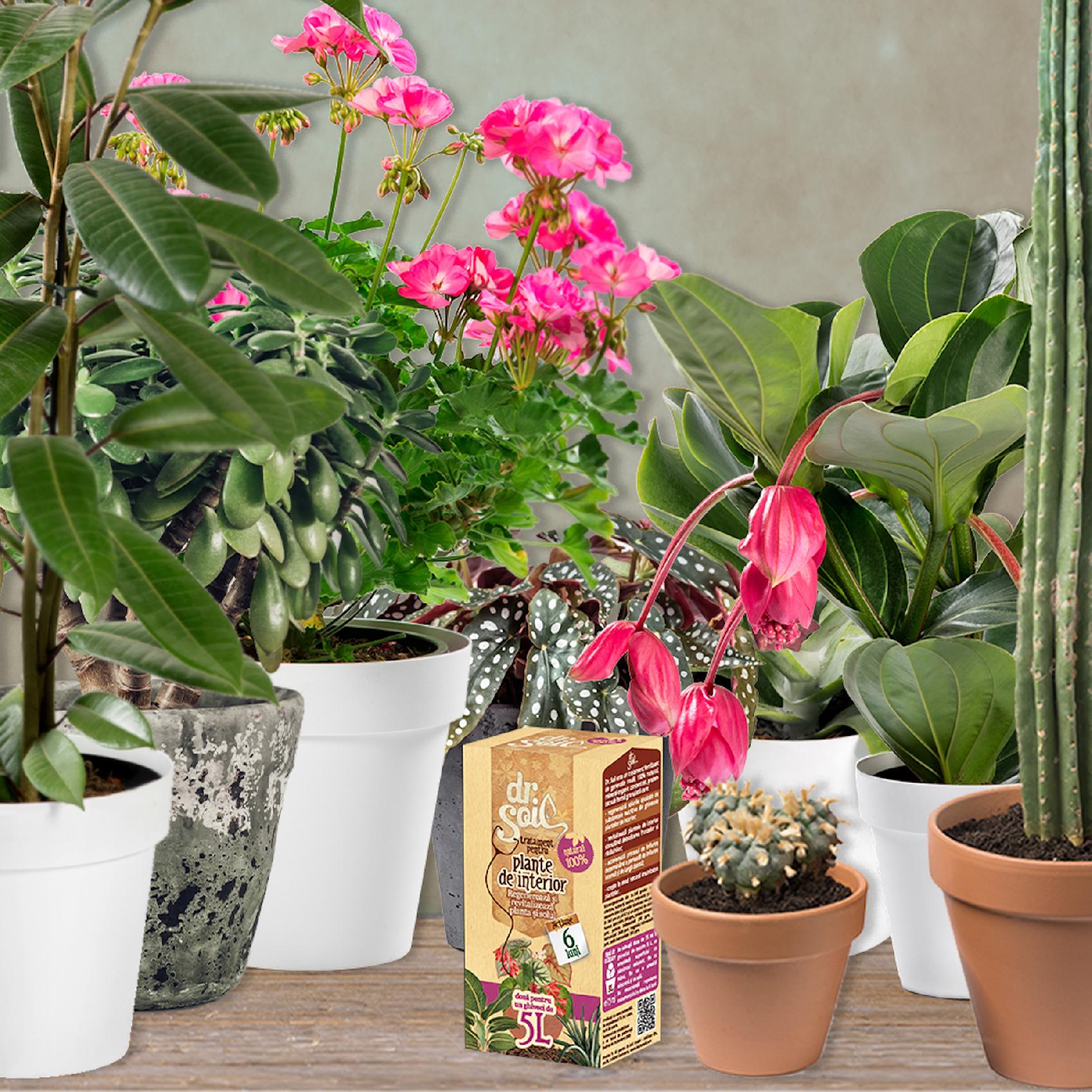 b06022f32eb68148d3fdde77249c052e