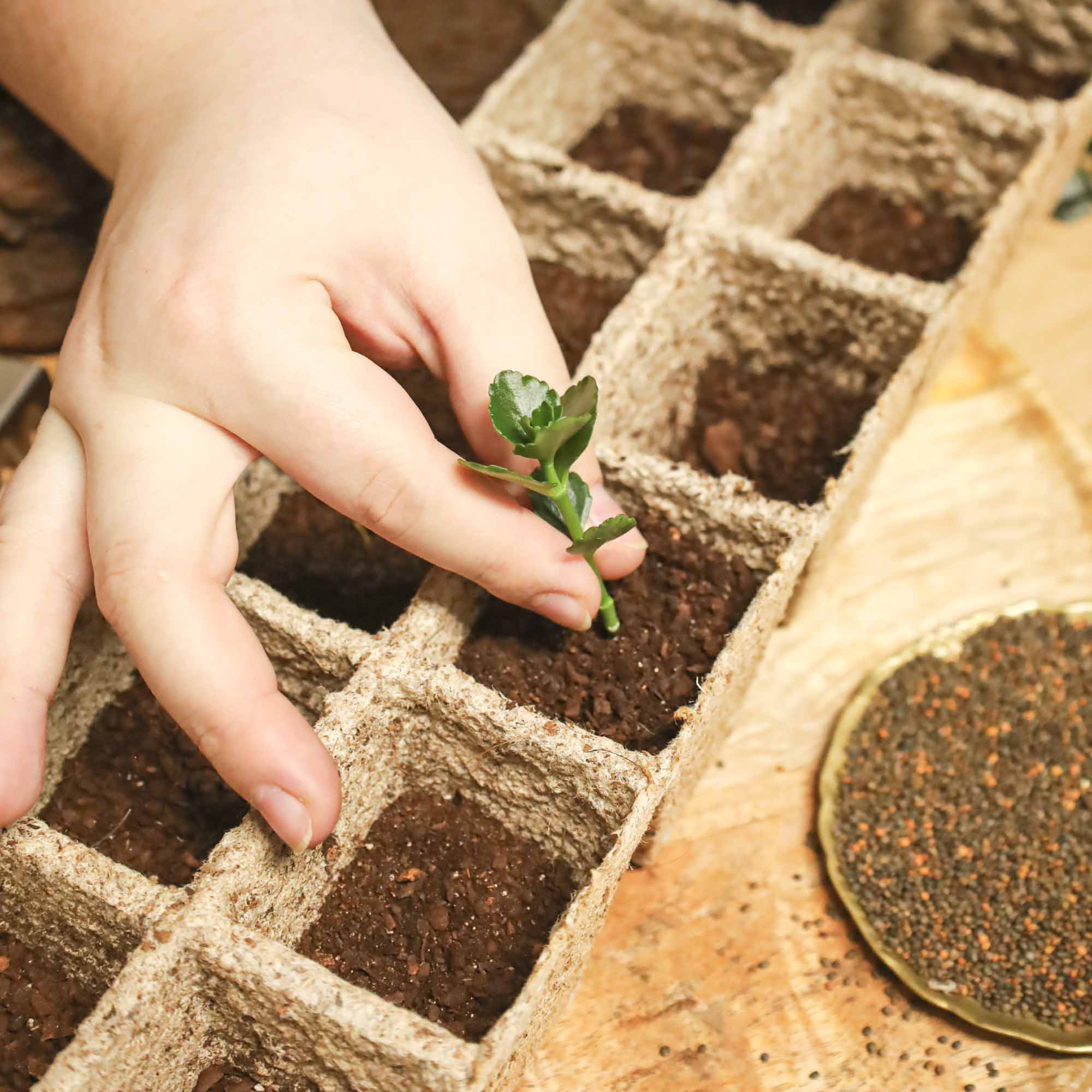 a1c0f37bd2aaa9e4a336213008693274.jpg 6b9fcaf8d55ec8c75a84d8c1eb91dea4