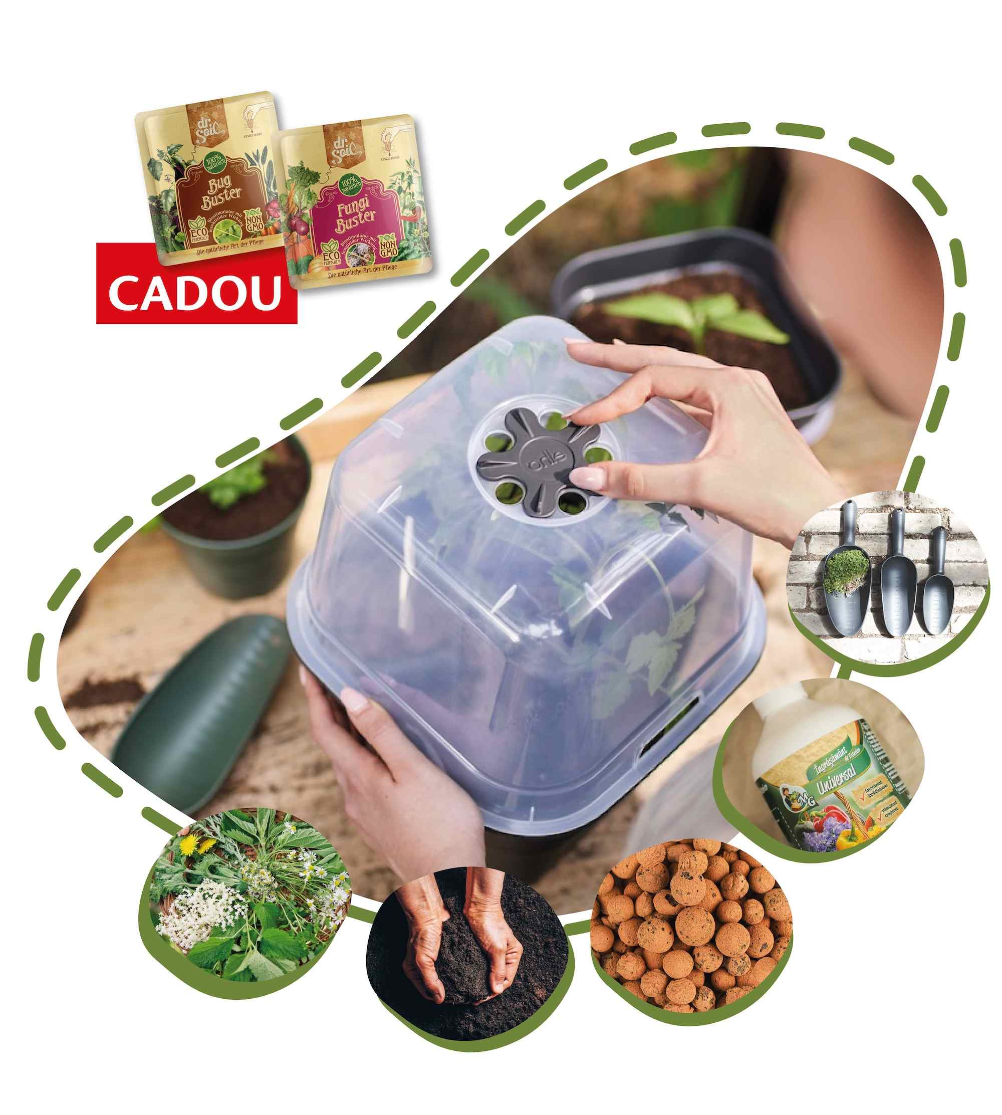 Ceaiuri urbane  - kit complet de crescut propriile plante medicinale pe balcon