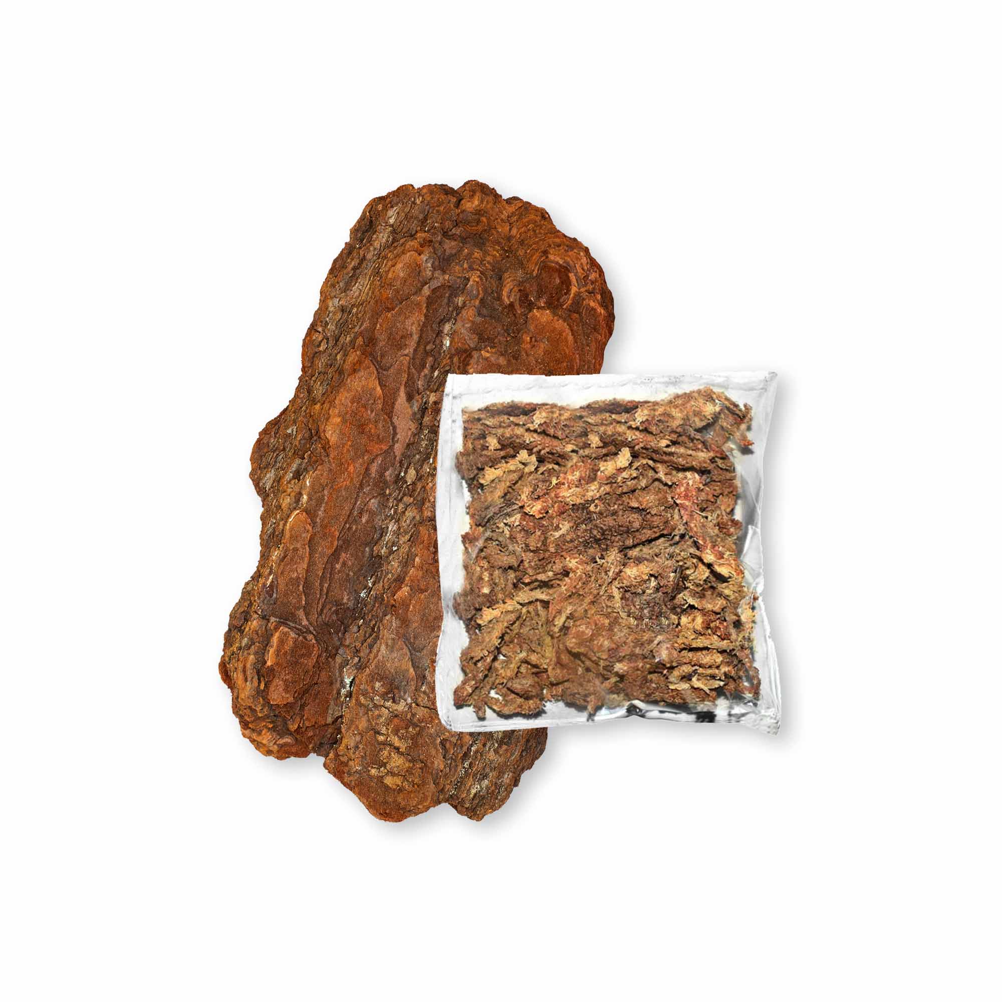 Scoarta de pin mediteranean suport pentru mini-orhidee (bucata mare) cu sphagnum decomprimat