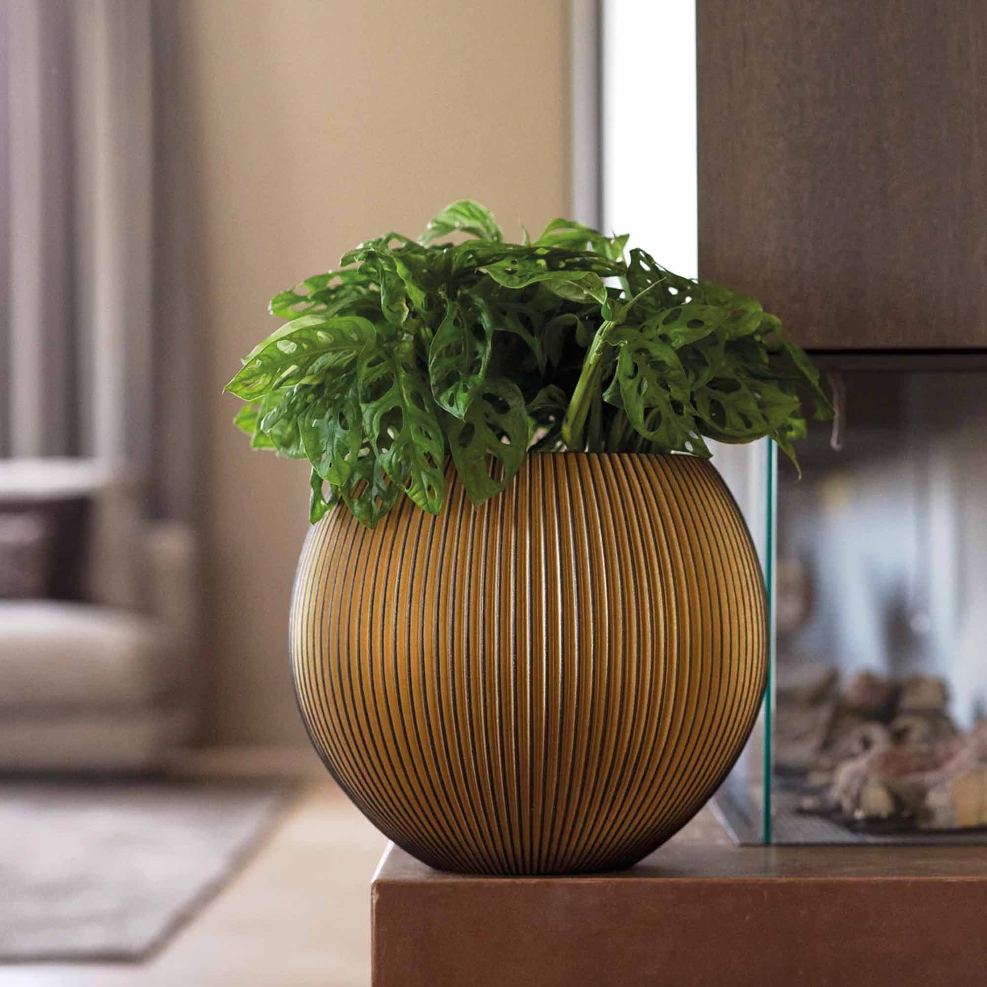 a9e595aa2e069159ddb064c02b815182.jpg b391808992d76bb708b16b86a12471e7