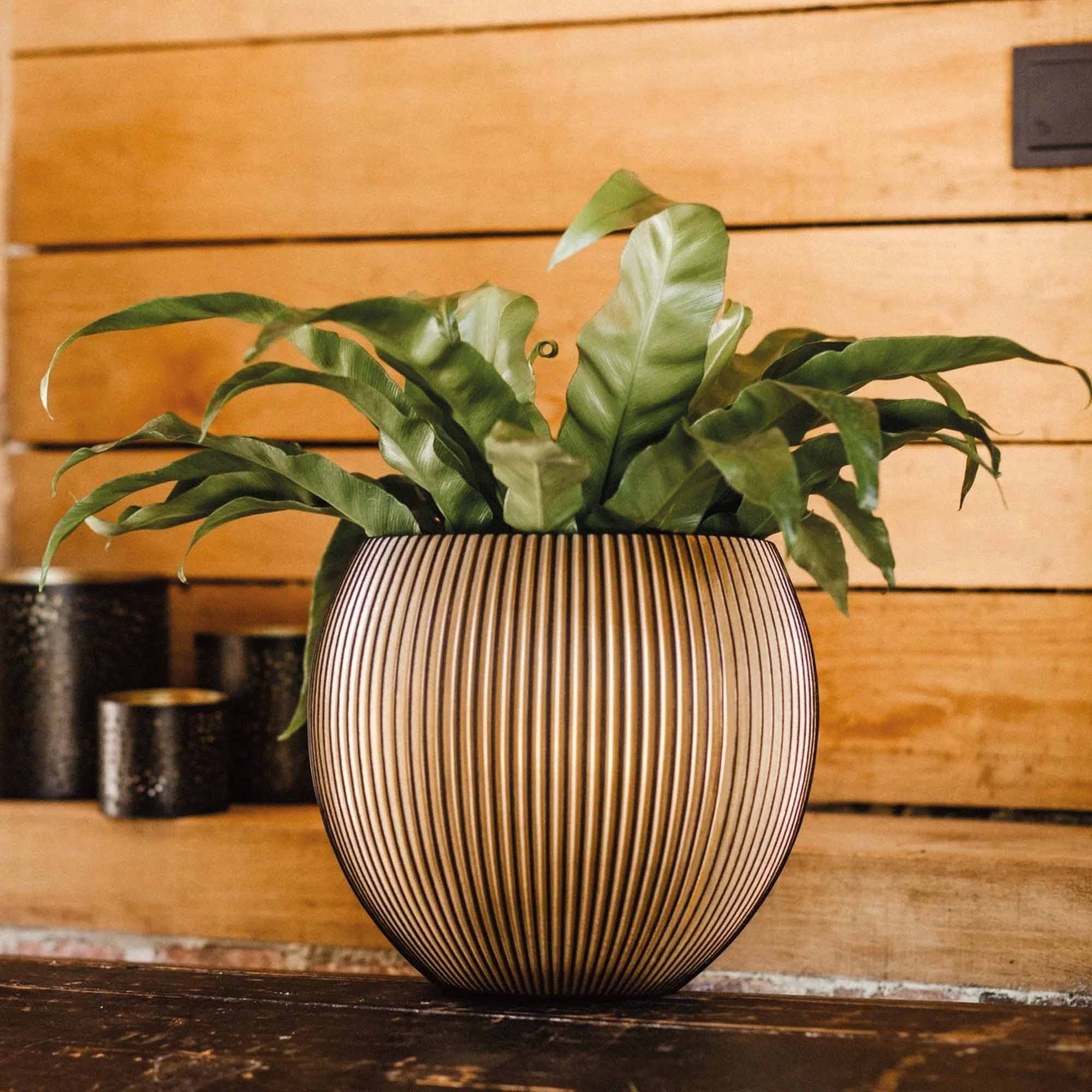 ac6673be8b736236f7e64fe335f929a3.jpg a3e34f75daea3726e8cfdbe2afbb9ae5