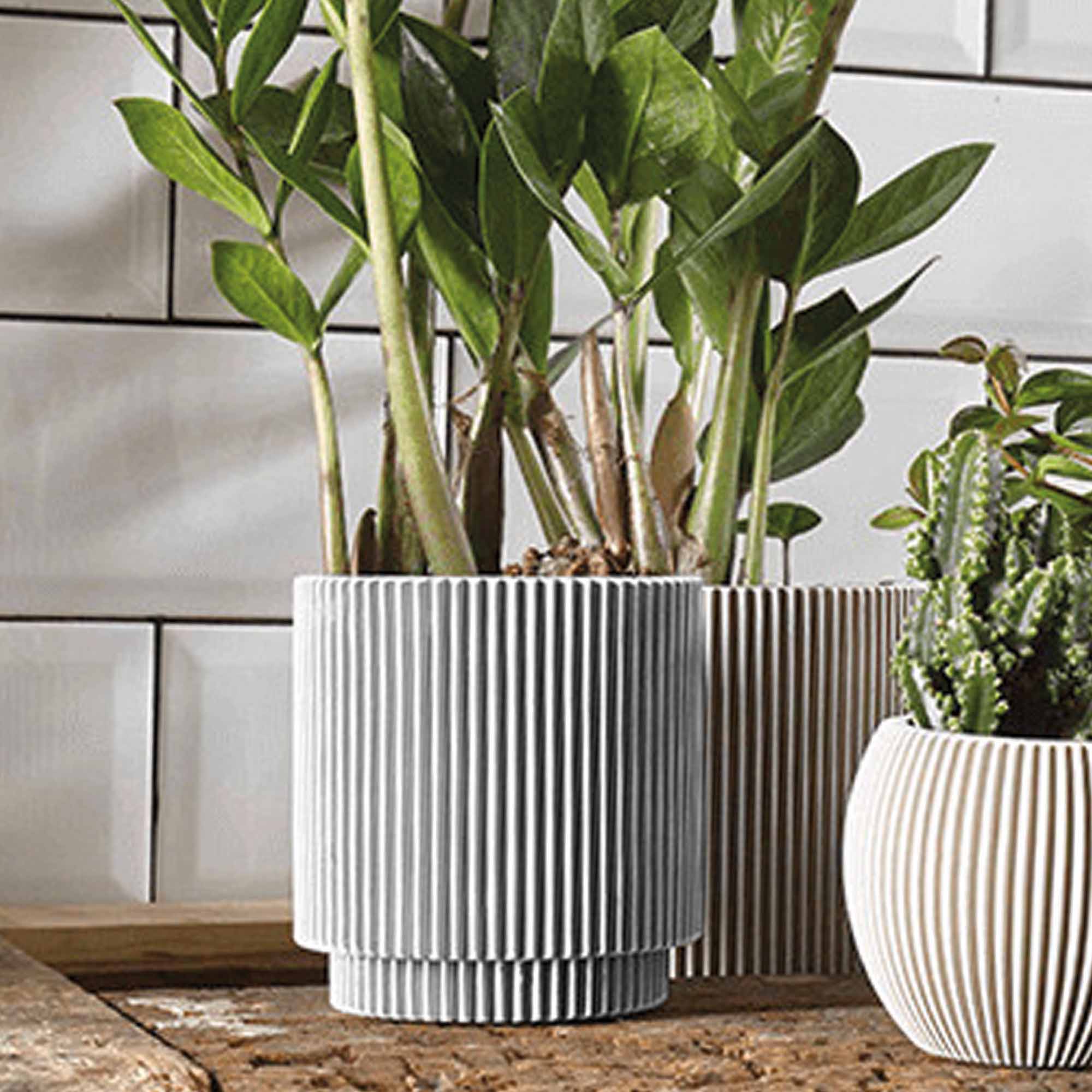 b46c48eb52fed32528dd0341e705410e