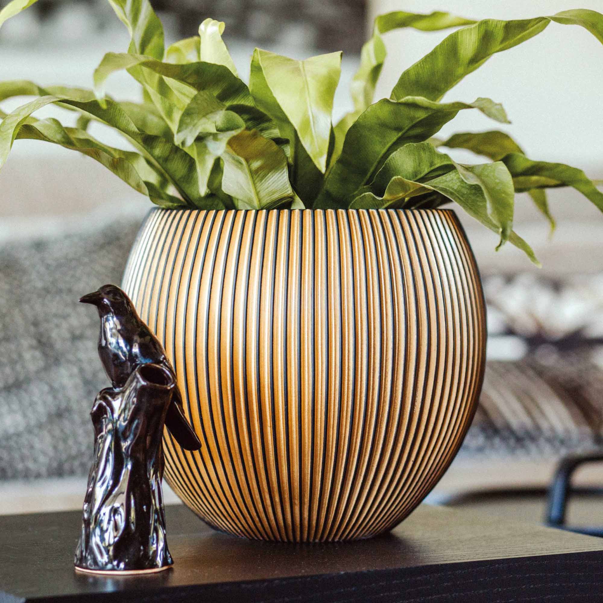 ae976cf6fbea413e70cfafe627cc2f72.jpg 8104cacda565c4ef910b54eb64bfd950