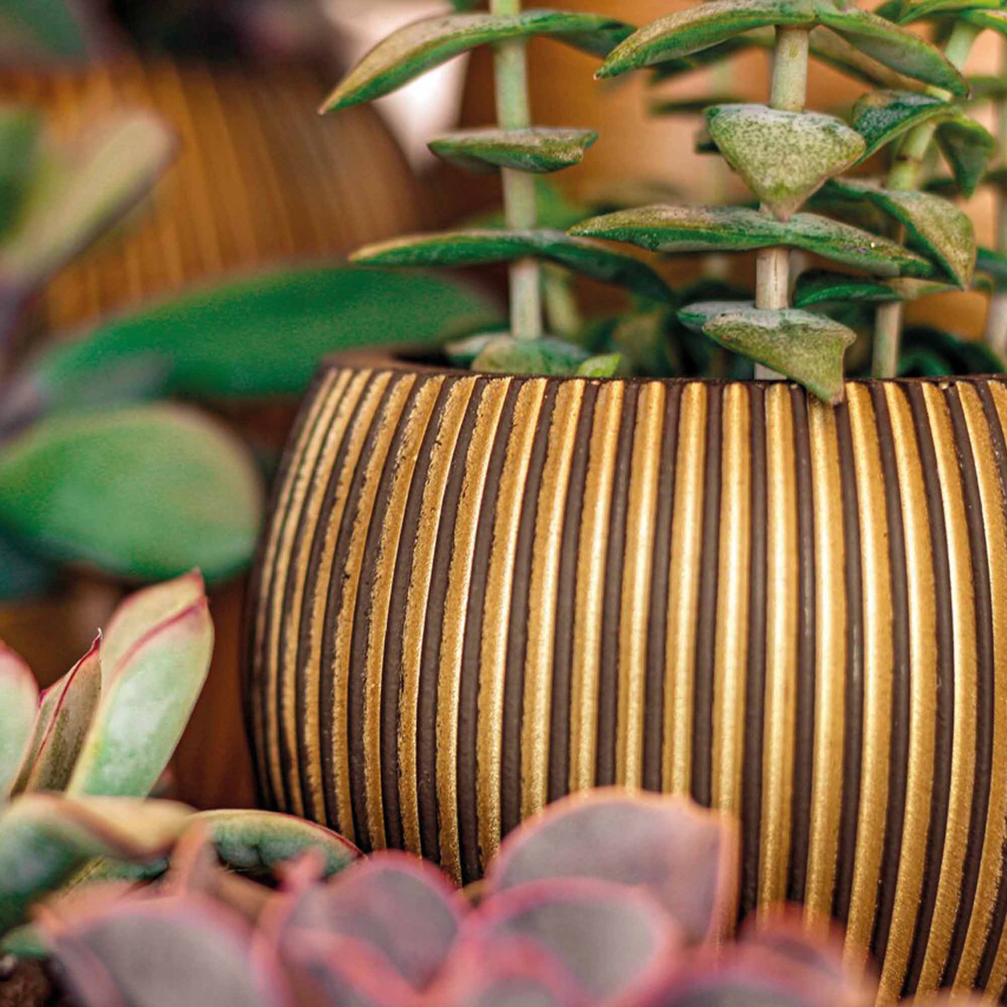 b0bd5119821ca5141c0bd9e0f276fb31.jpg 8cce4748015c0d2716be537d5affb62f