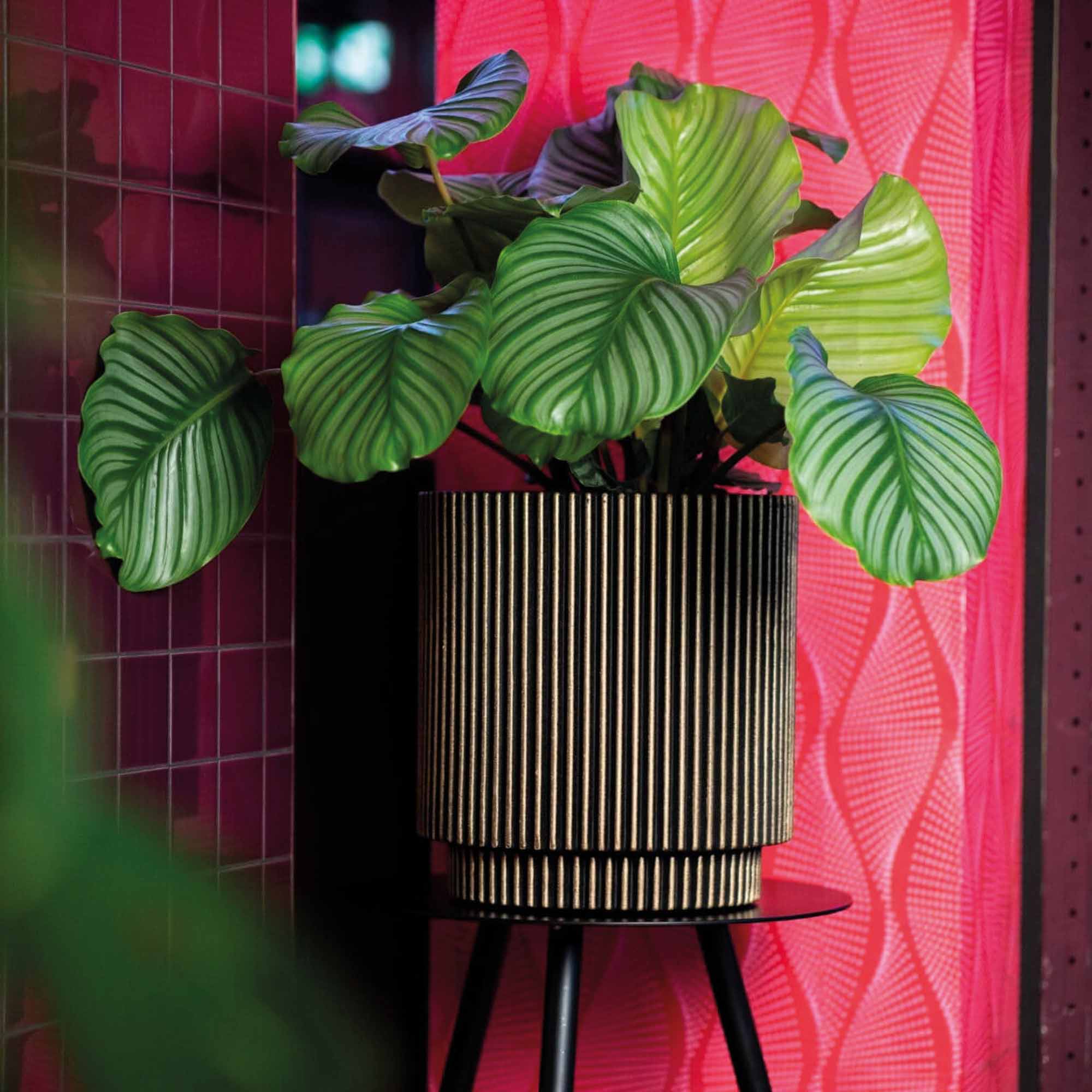 b7c31f8a433548d5f72c80d4d237a043.jpg 1848526287e04de56029451e469707b8