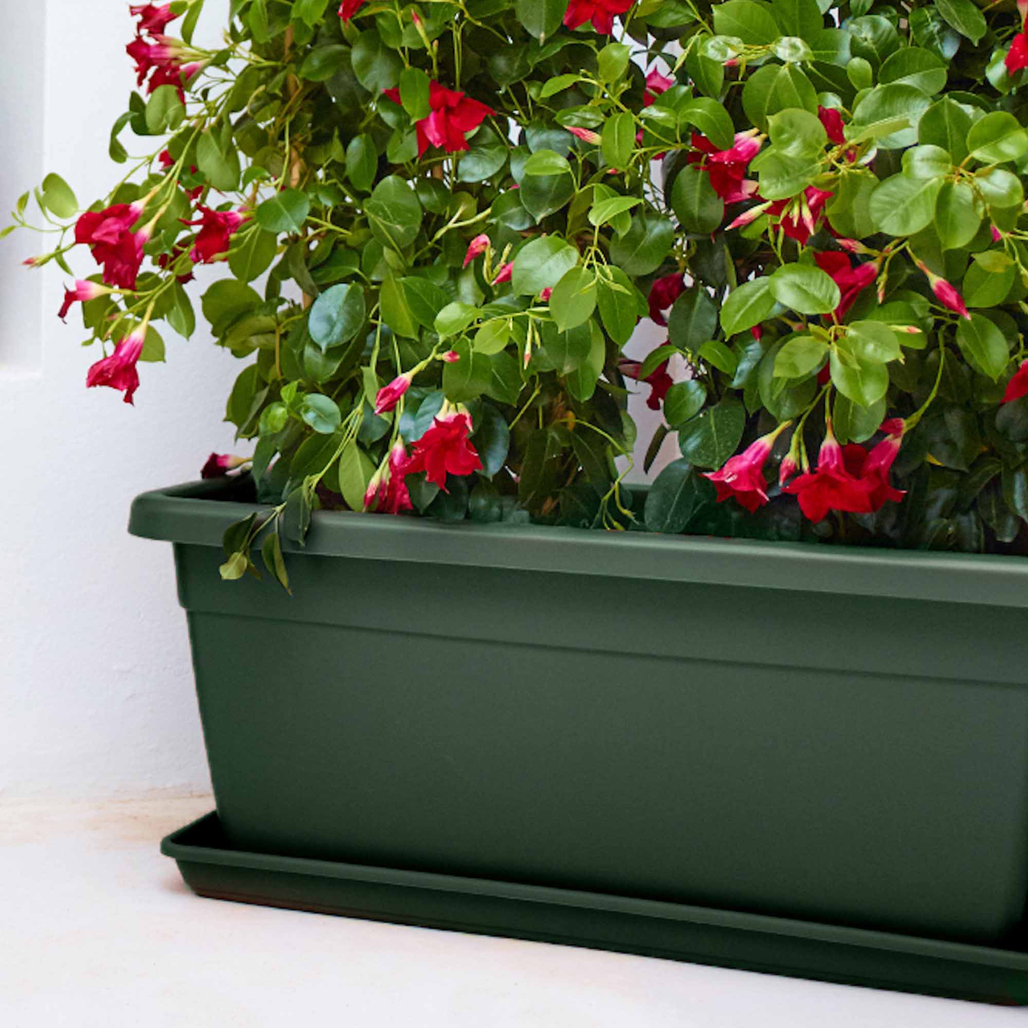 b902b380bb506a1ab6b8b1210311a9a9.jpg 6a86bf62b2597fb538c9b0ac57ad7a62