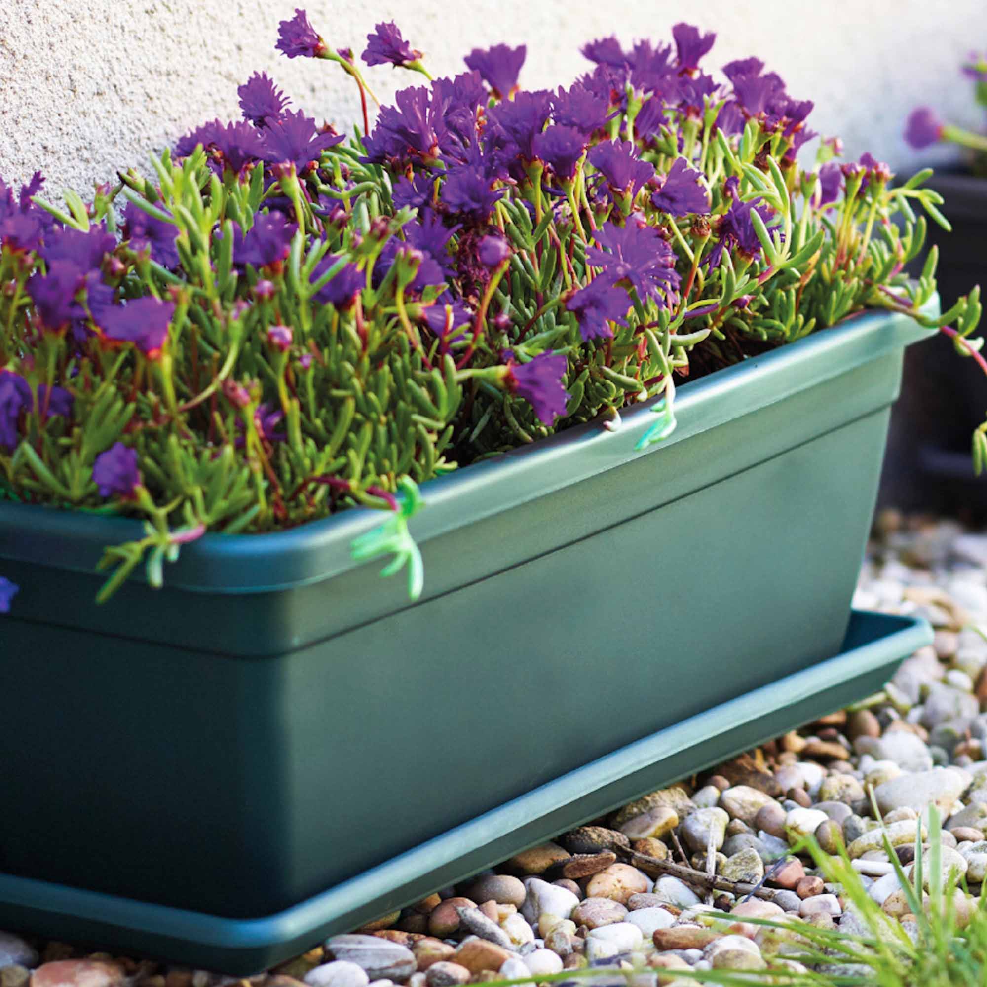 c32a6a7c809a7616d954672ed65b485f.jpg a01fa5e6dd5e1f5a1a6a29ff5ef6d552