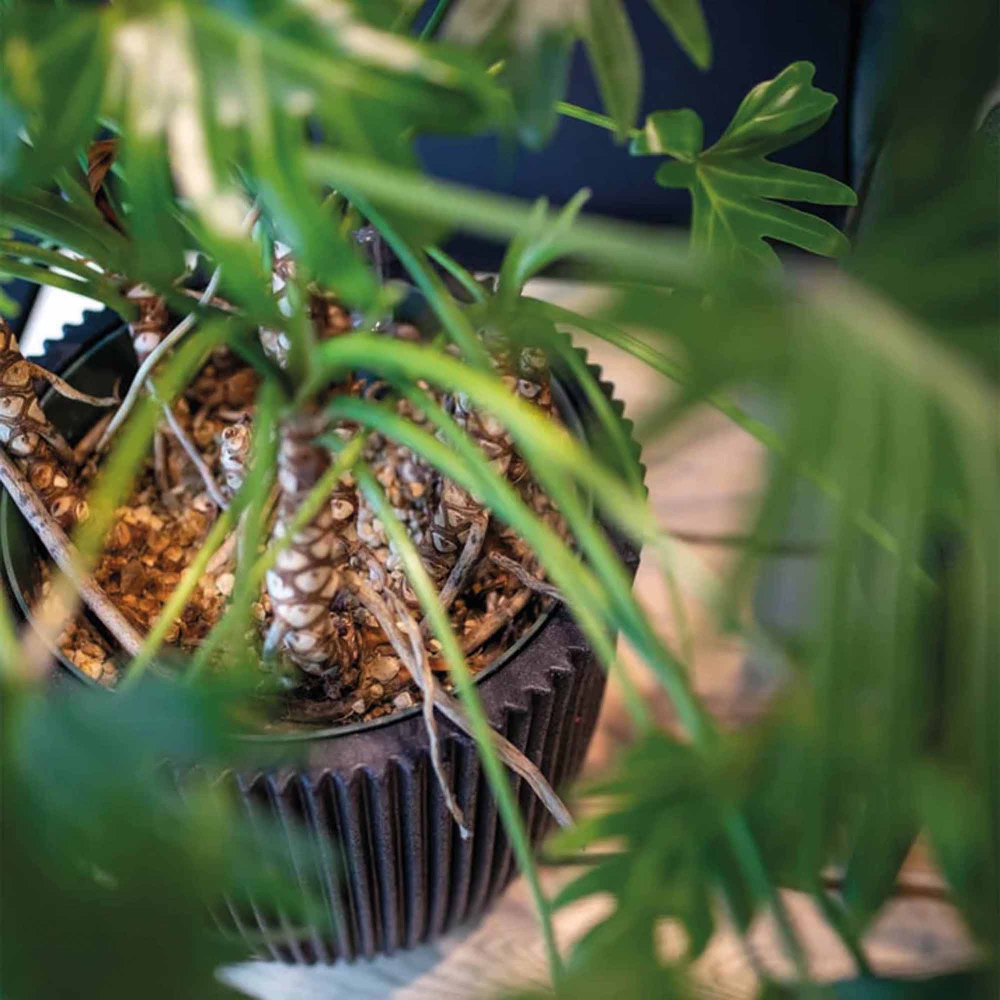 cd2b305b9839ef6a3371aad19b6b8ca4.jpg a671fb1ecd707f4f42b944aa2002df8a