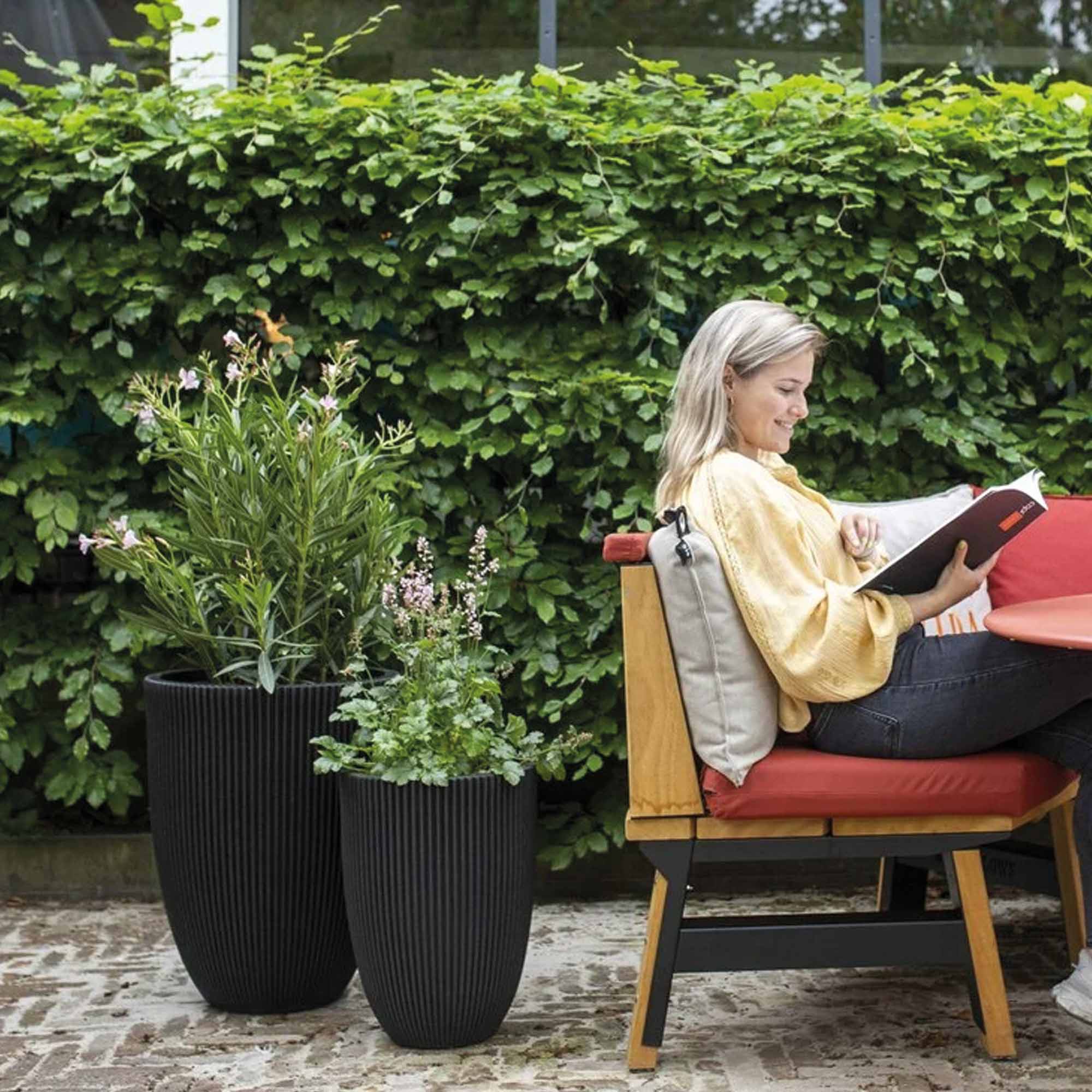 d7ae10ec0812d0771edd66582bff9f8d.jpg c377c40204d5f91a2d1f4ec4285a23d2