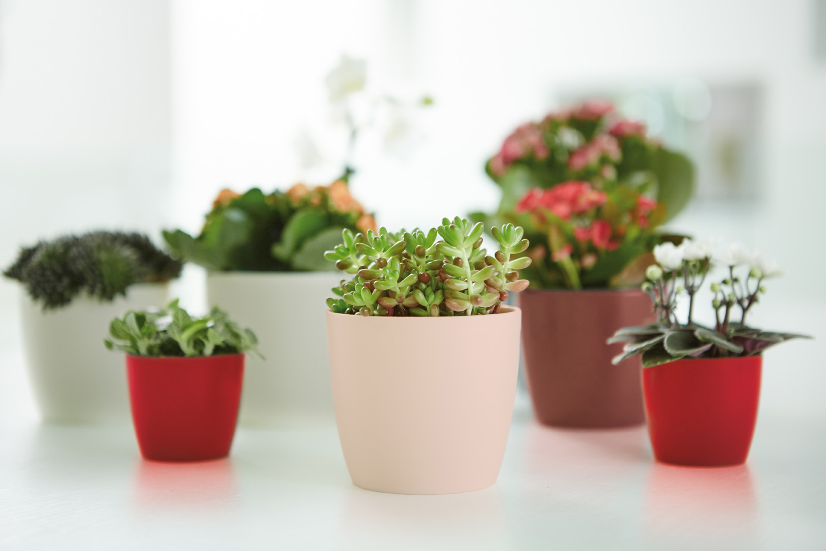 debea6bc4d6f9c156fdf7576fedb95bd.jpg 71140a92f2decd76c820a093b7ca41be