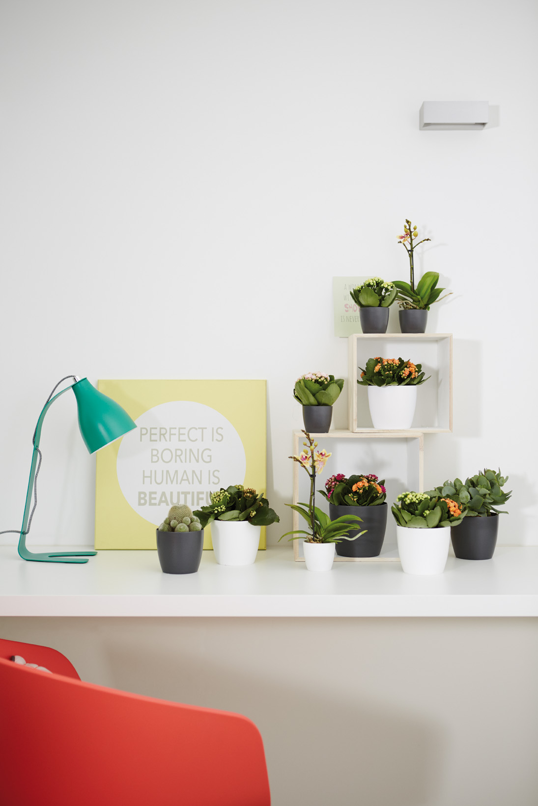 e758d15968e18eddb38cf1e931cf6848.jpg 6e21b5a2bcaf9101b3c190220704d6f8