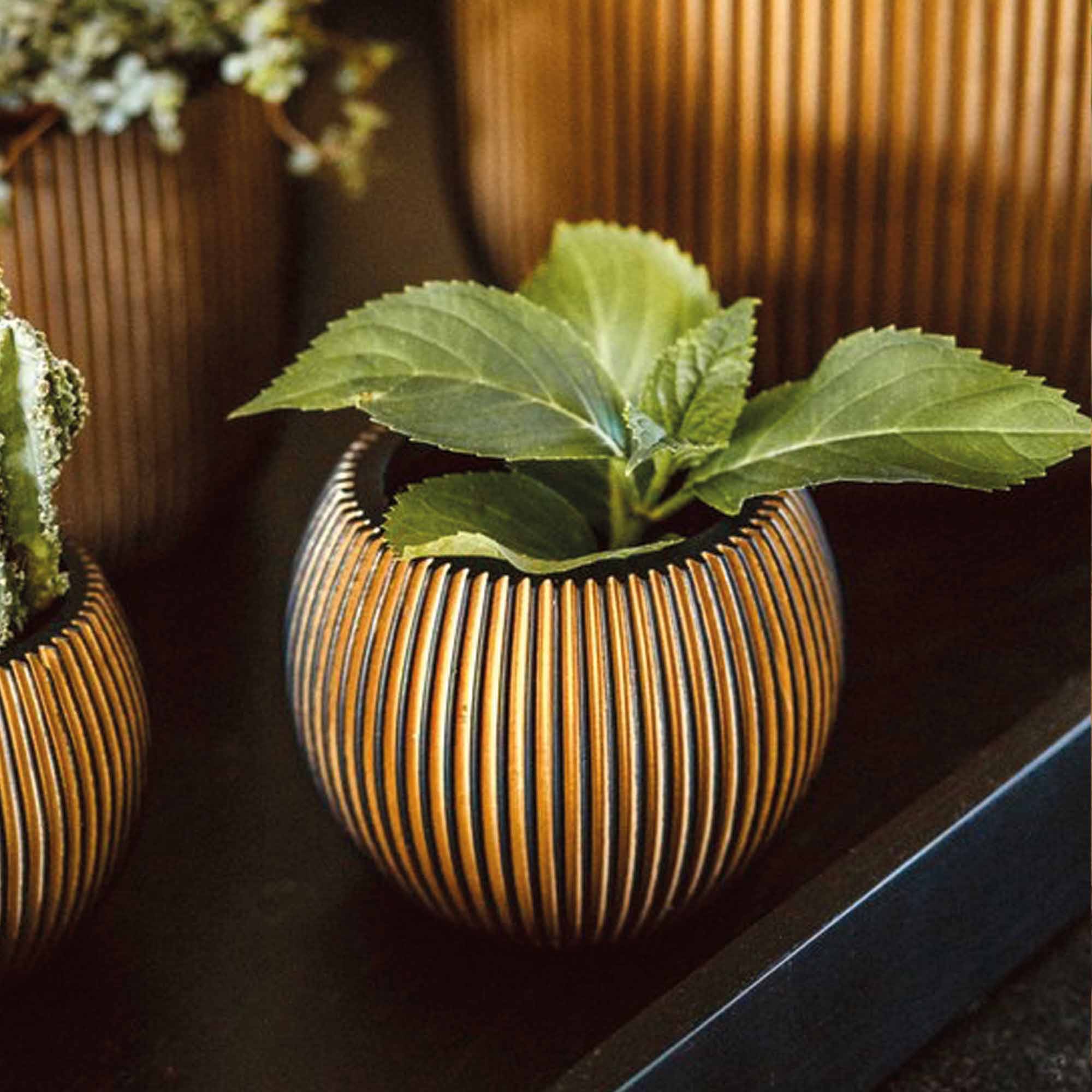 e80d5d6dac6193feaffd3a2472d09089.jpg 1e6aac5451542a5a21b07fe0440155ba