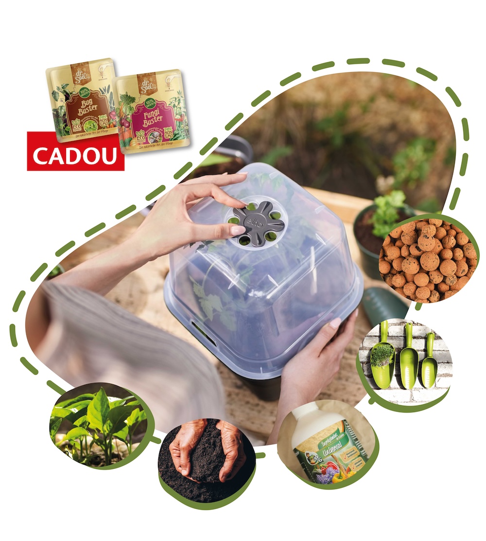Starter Peppers - kit complet de crescut propriile răsaduri de ardei