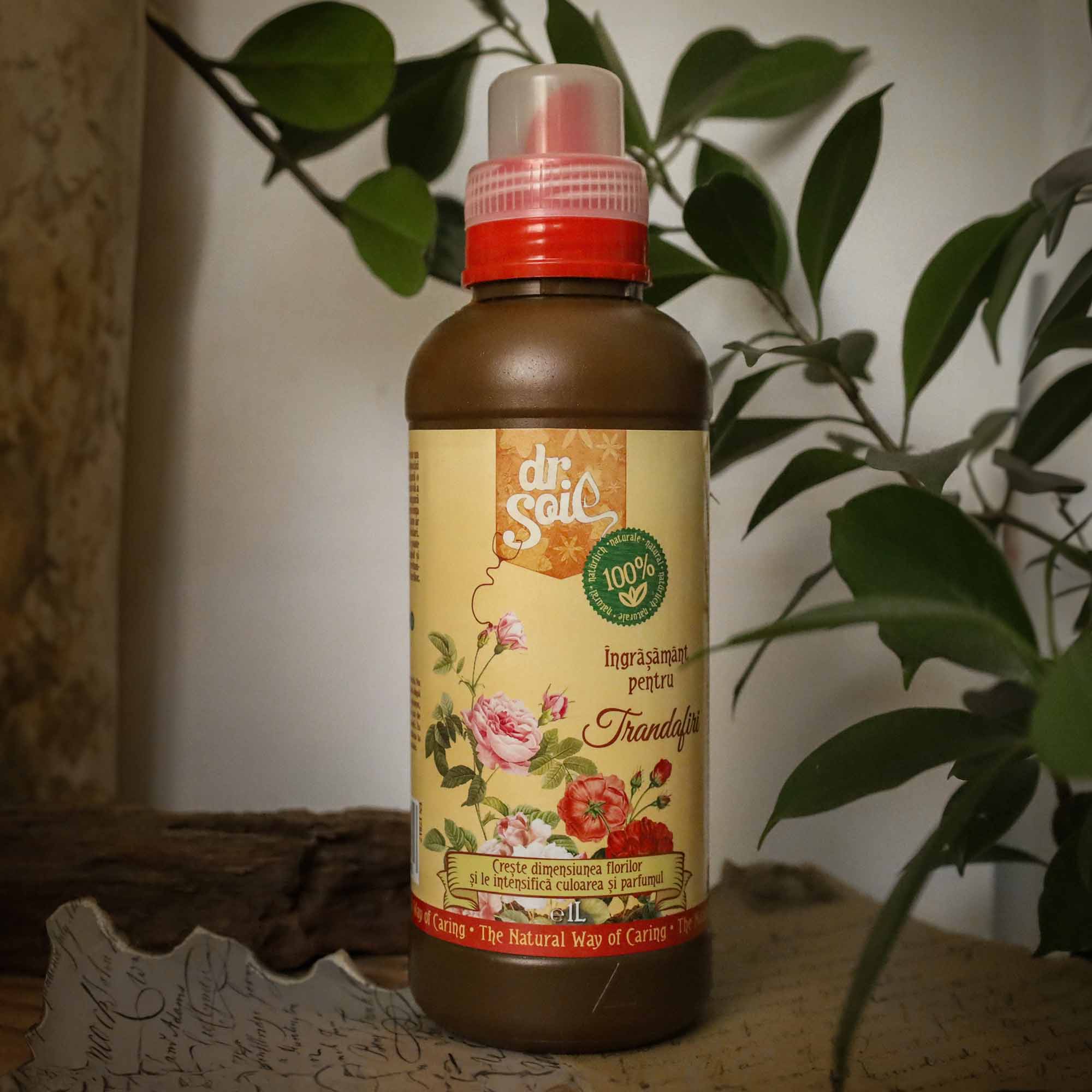 8240b538f3cc245b9c47d8fa287389b7