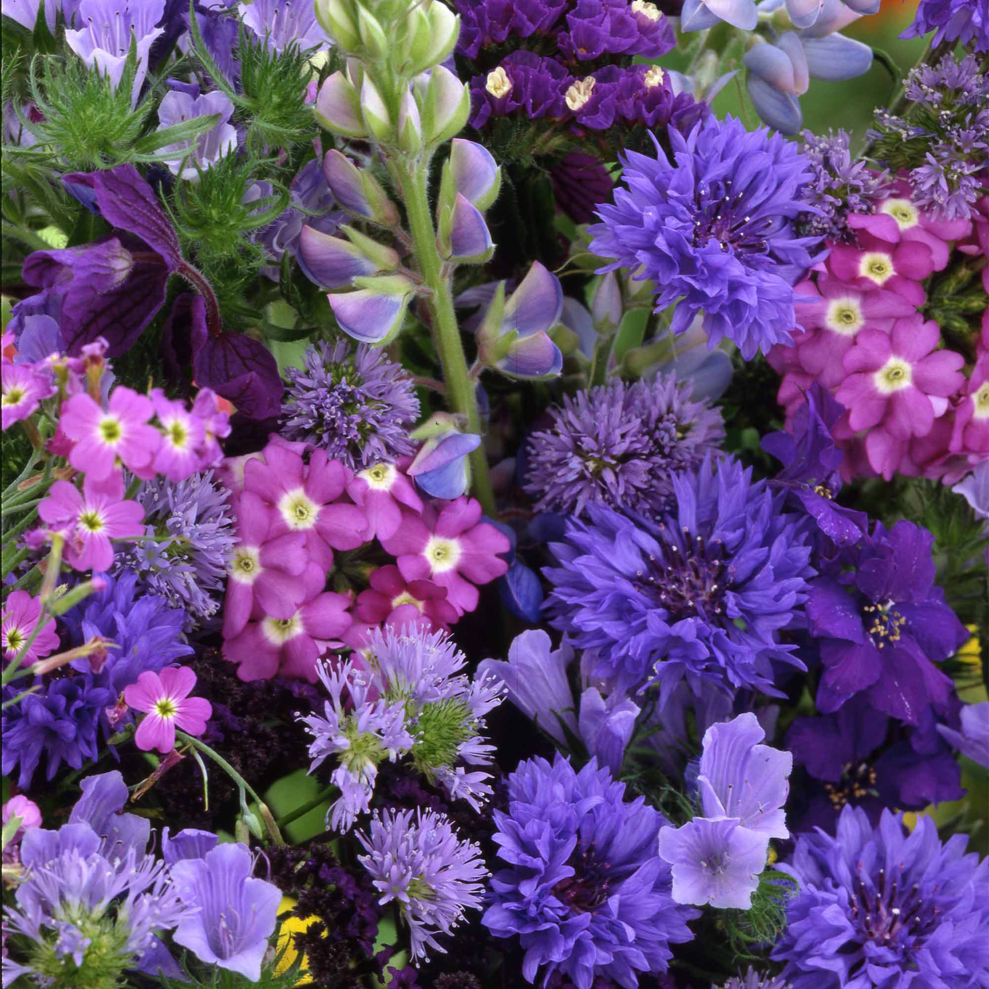 927a18e44b15c37b30ff1ef450f7b4f3