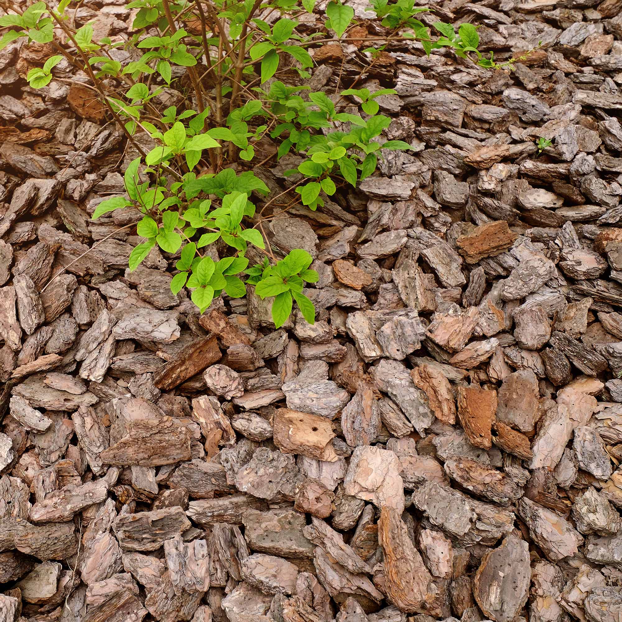 368e4ba66b96f9acf7ce5f593c3566c5