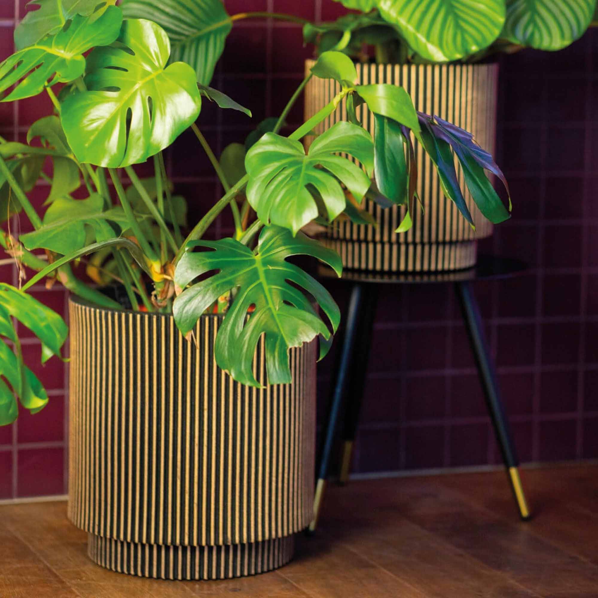 f10de92f1dd383d82d726614192ee78f.jpg 61a521eac218c880ca9acb40fc579b3a