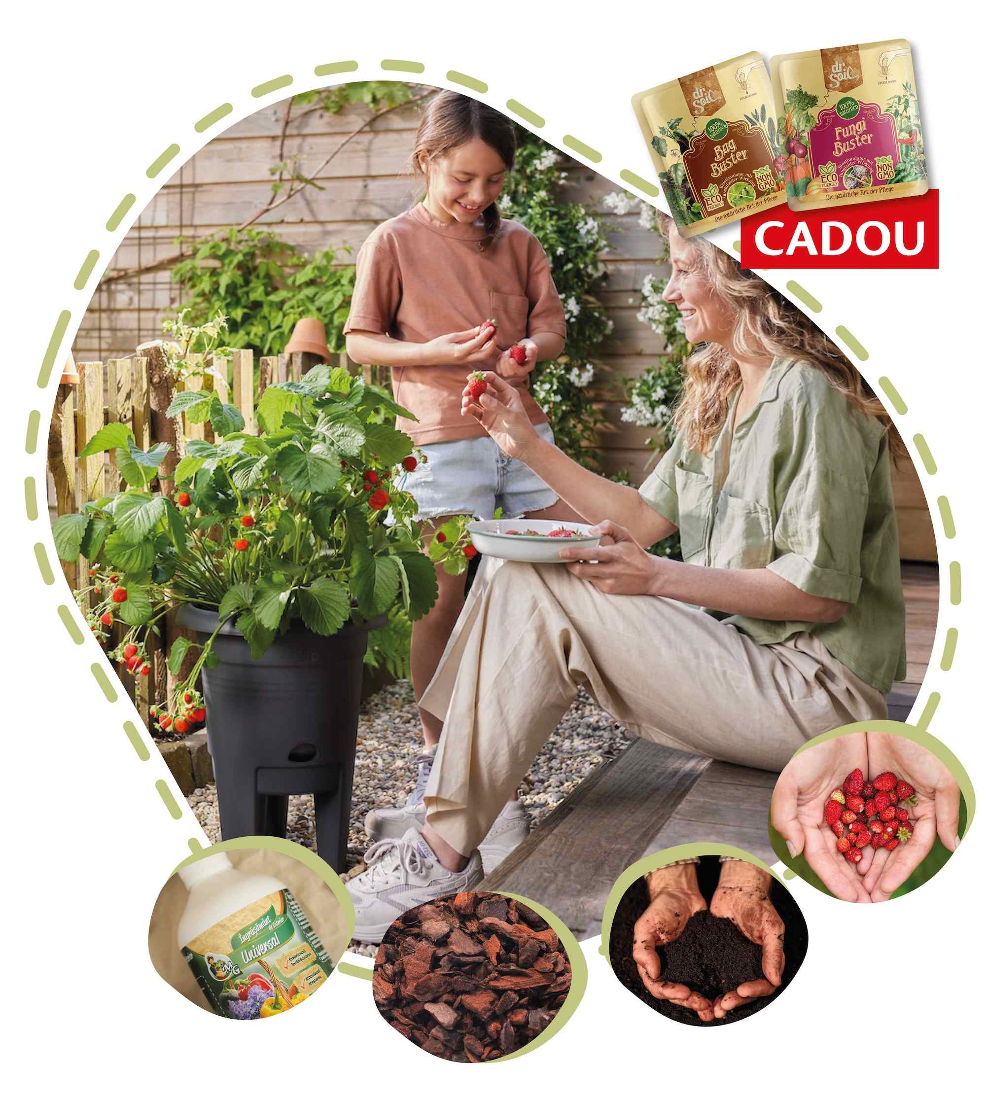 Căpșuna urbană - kit complet de urban gardening
