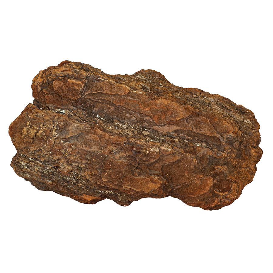 Scoarta de pin mediteranean Dr.Soil, piesa decorativa pentru aranjamente