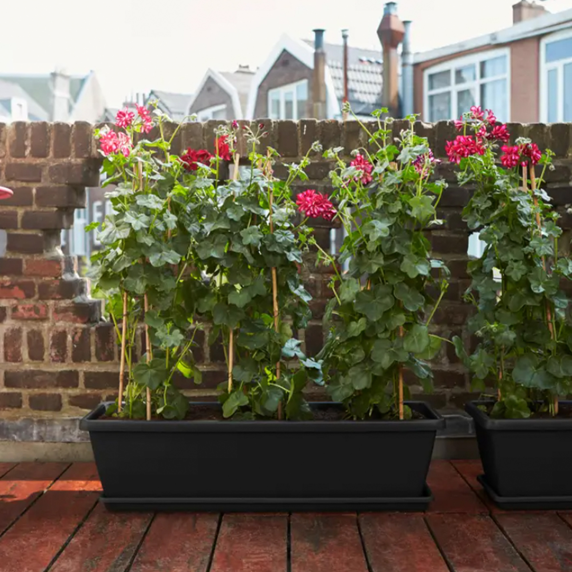 01bb4fa8a883f40e79b11659228cd7b2.jpg d462f63d0208ca1a7d7b8ccd73a6b1d0