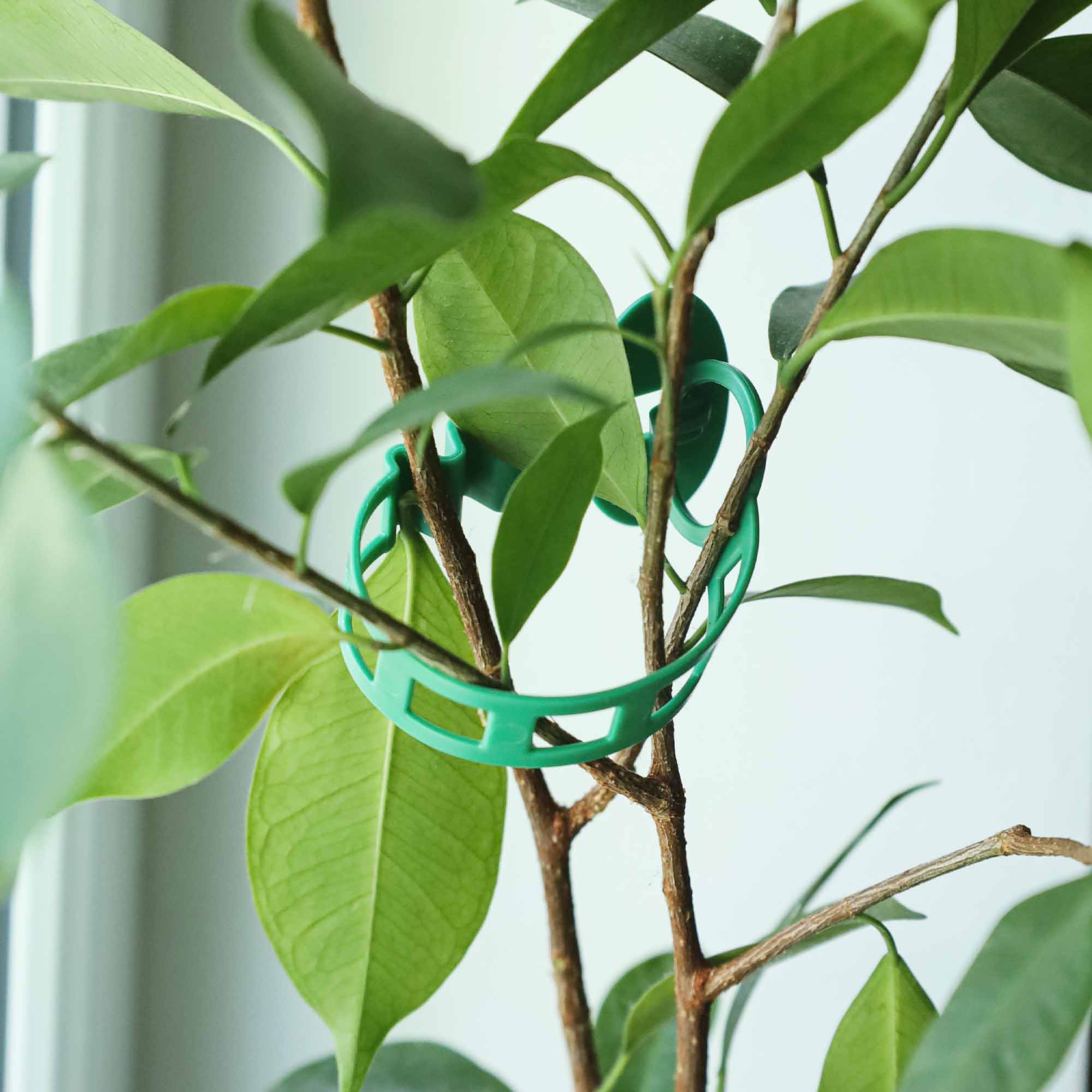 10dda0579094553ebb2d9690c0cbf2f4.jpg 53ad594f7b1a7a88fb814bdbfb82b71e