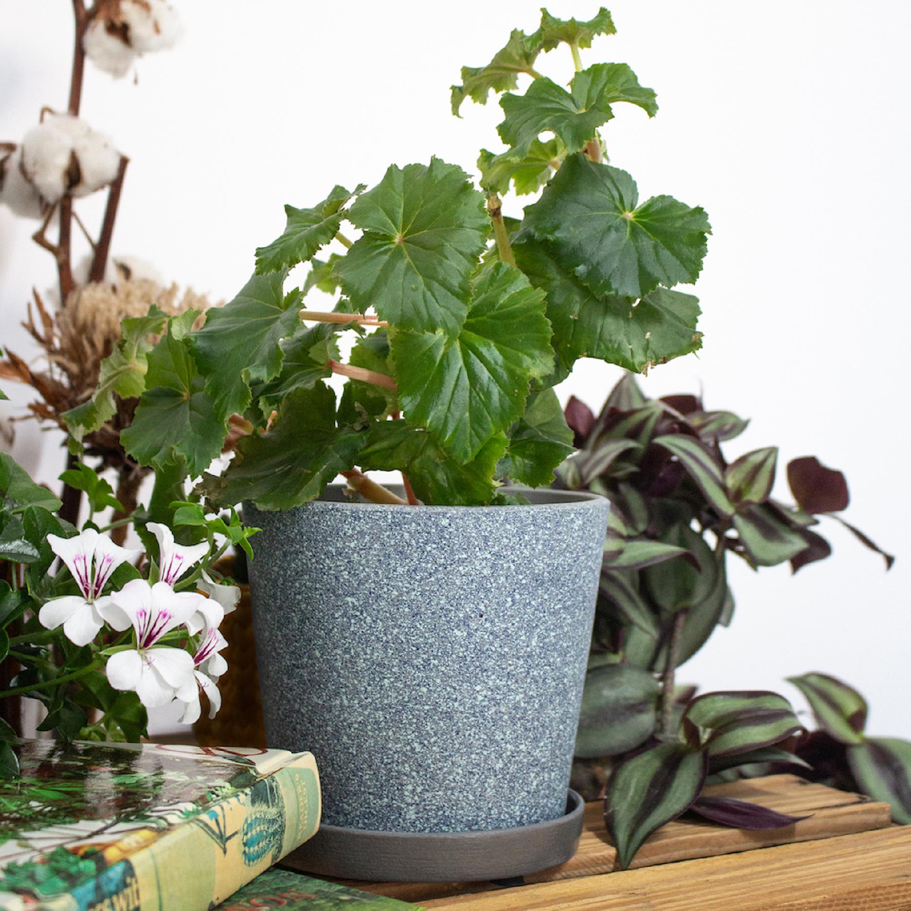 13a2e542f1c5ded18e6a2df0c7ee6e55.jpg 7172375febf73f1d9cc7ec35eb6810df